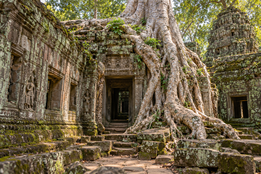 Templo Ta Prohm, Angkor