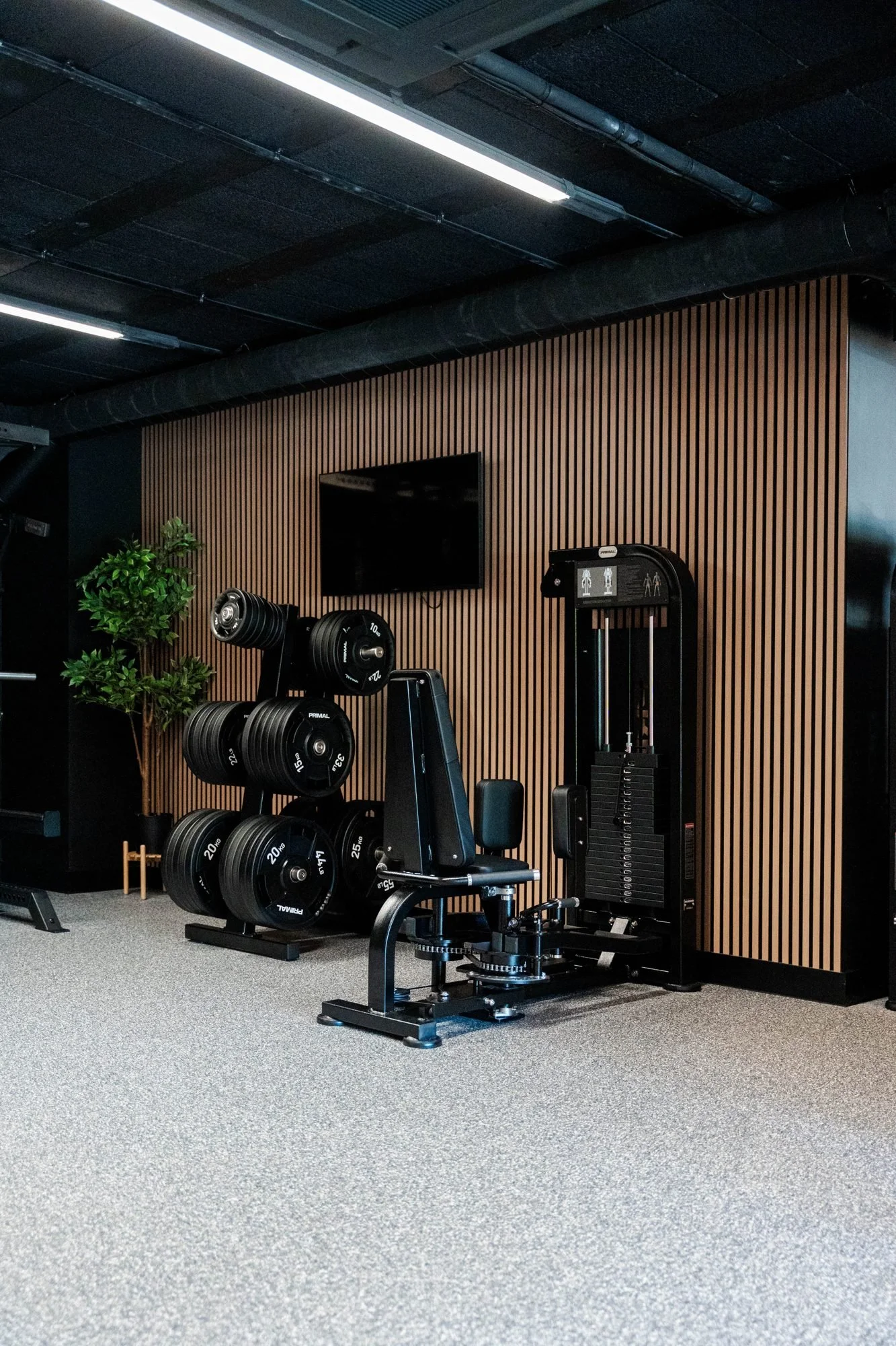 Row of premium resistance machines on the gym floor at Physique Pro Ponteland