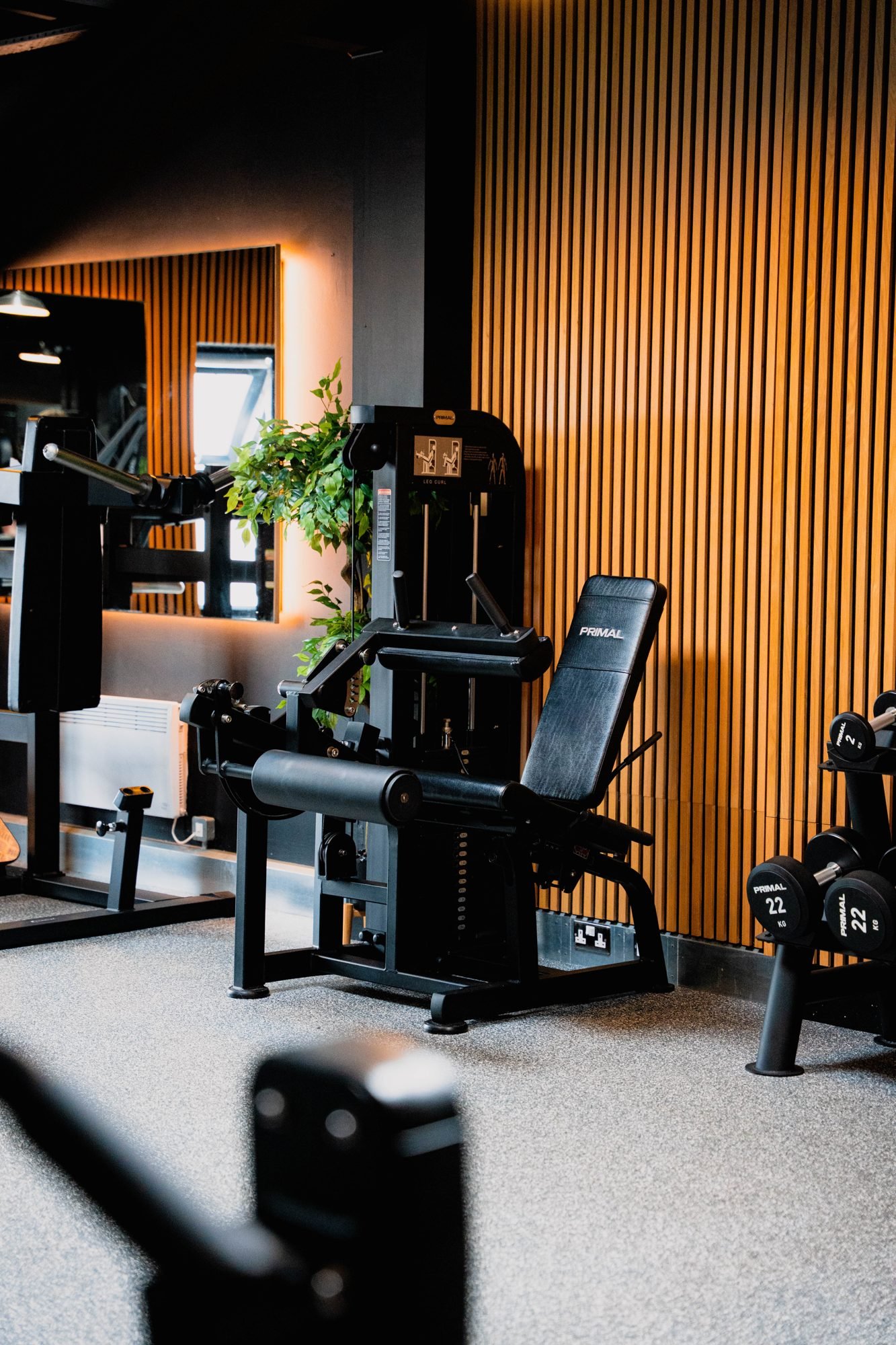 Seated leg curl machine beside a plant at Physique Pro Gosforth
