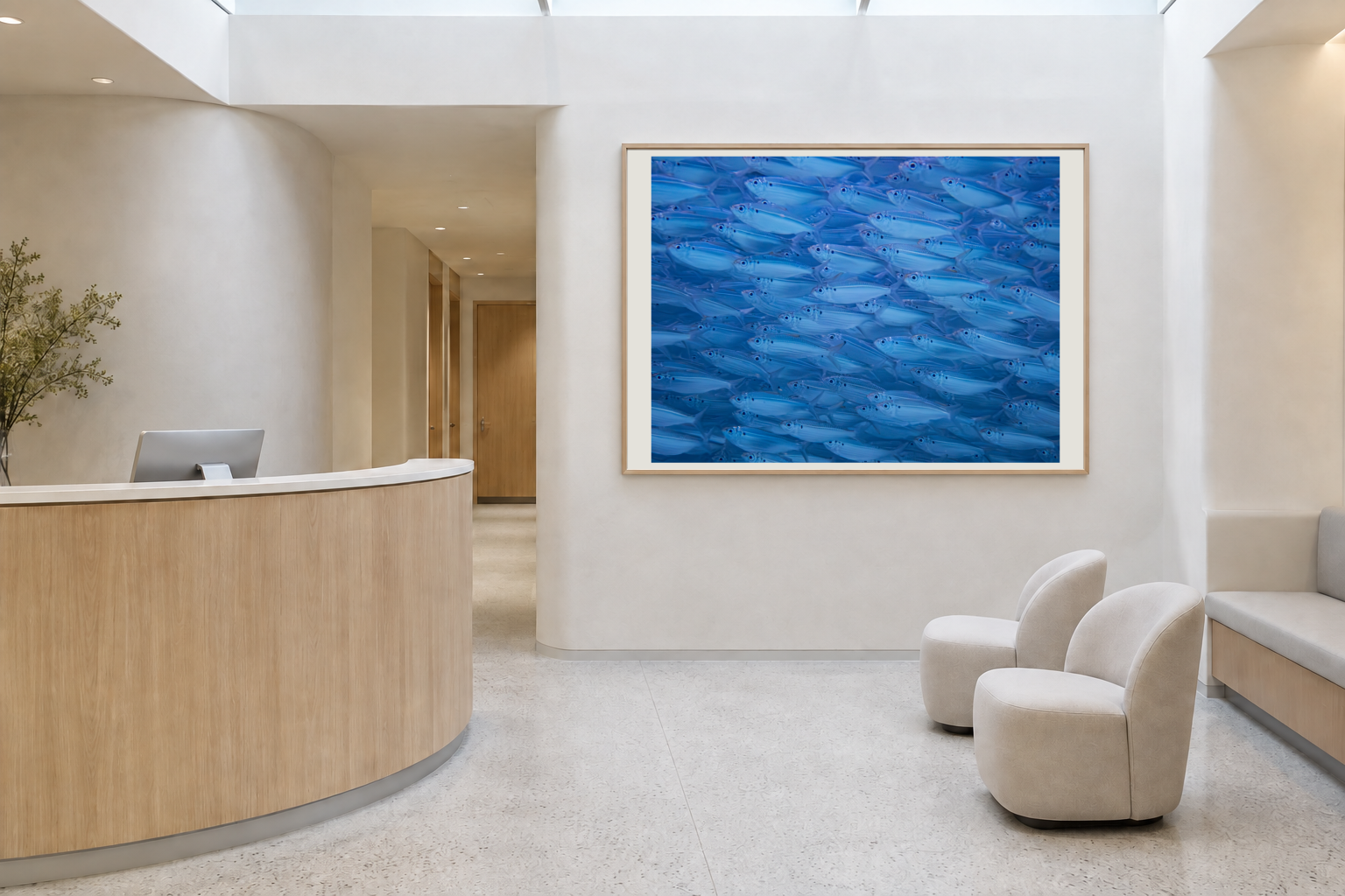Ocean wildlife photography displayed in a healthcare reception