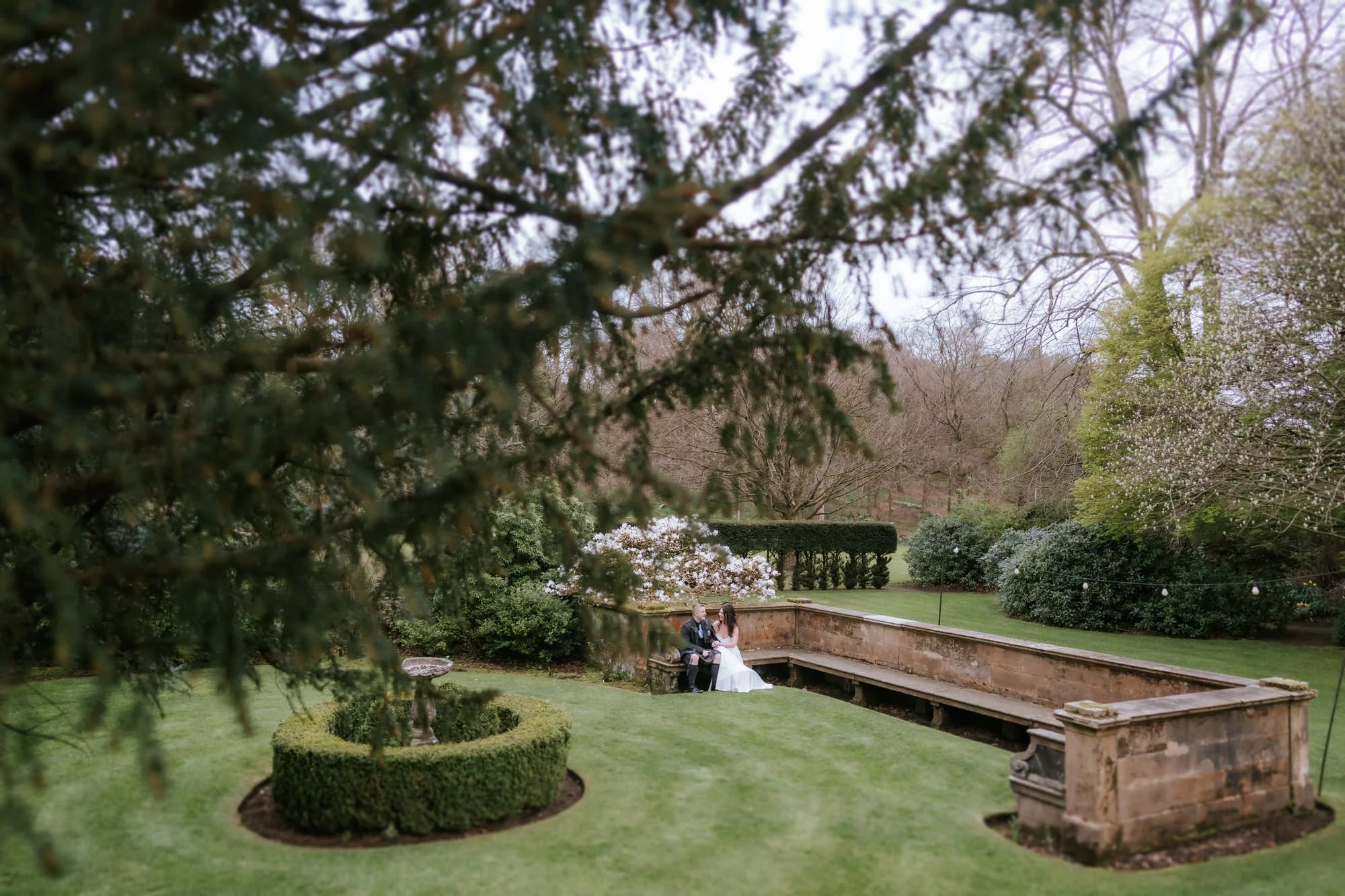 A wide portrait of Steph and Calum beneath a flowering tree.