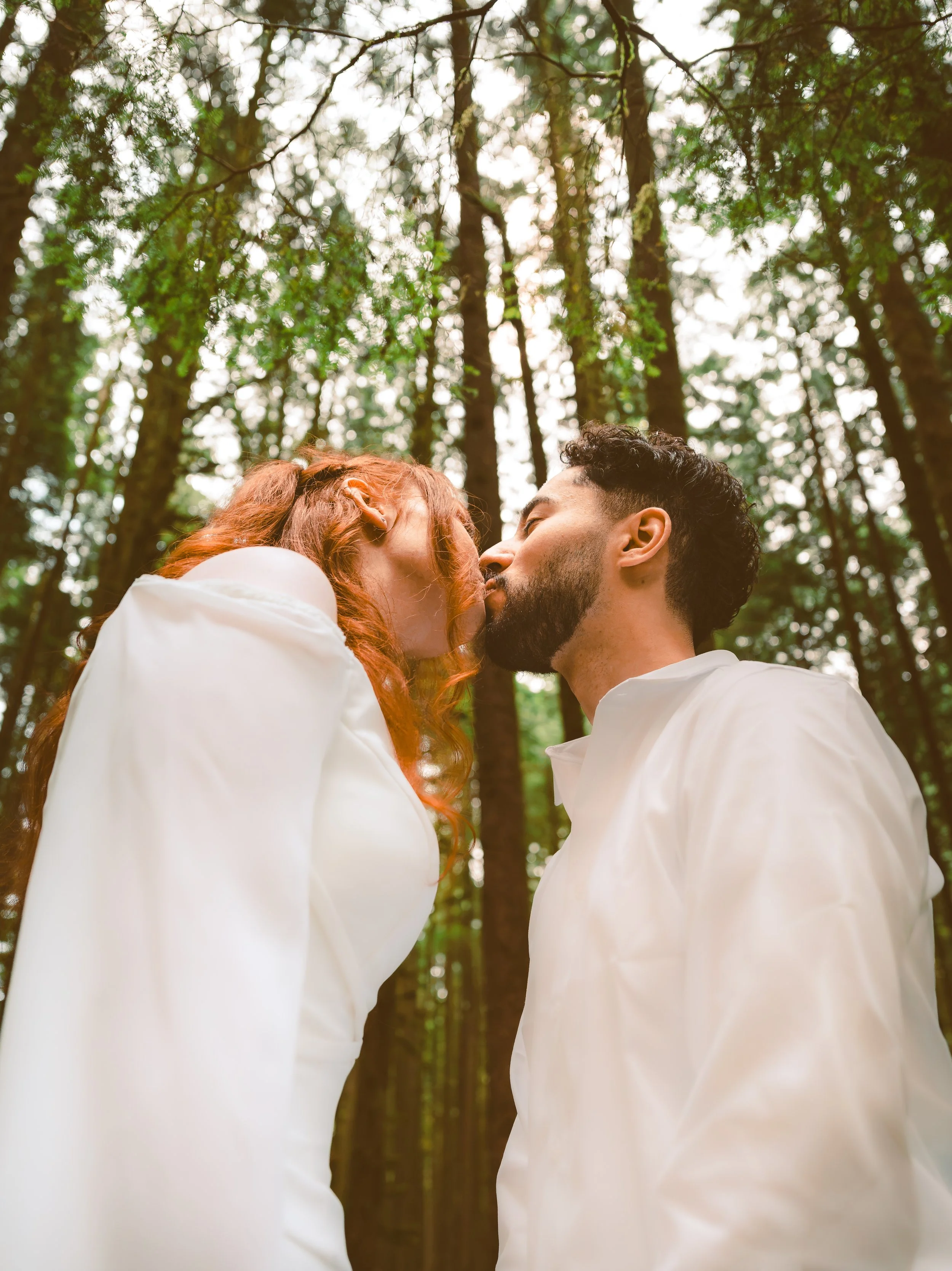 Low-angle portrait of a couple kissing among tall trees