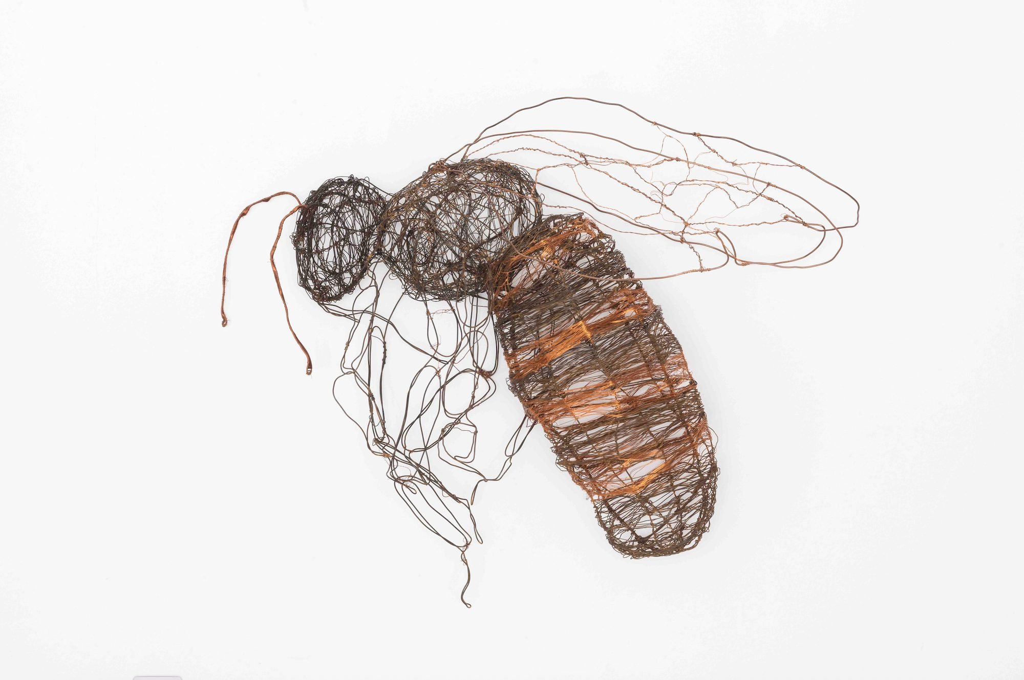Wire bee sculpture by Charmaine Lurch