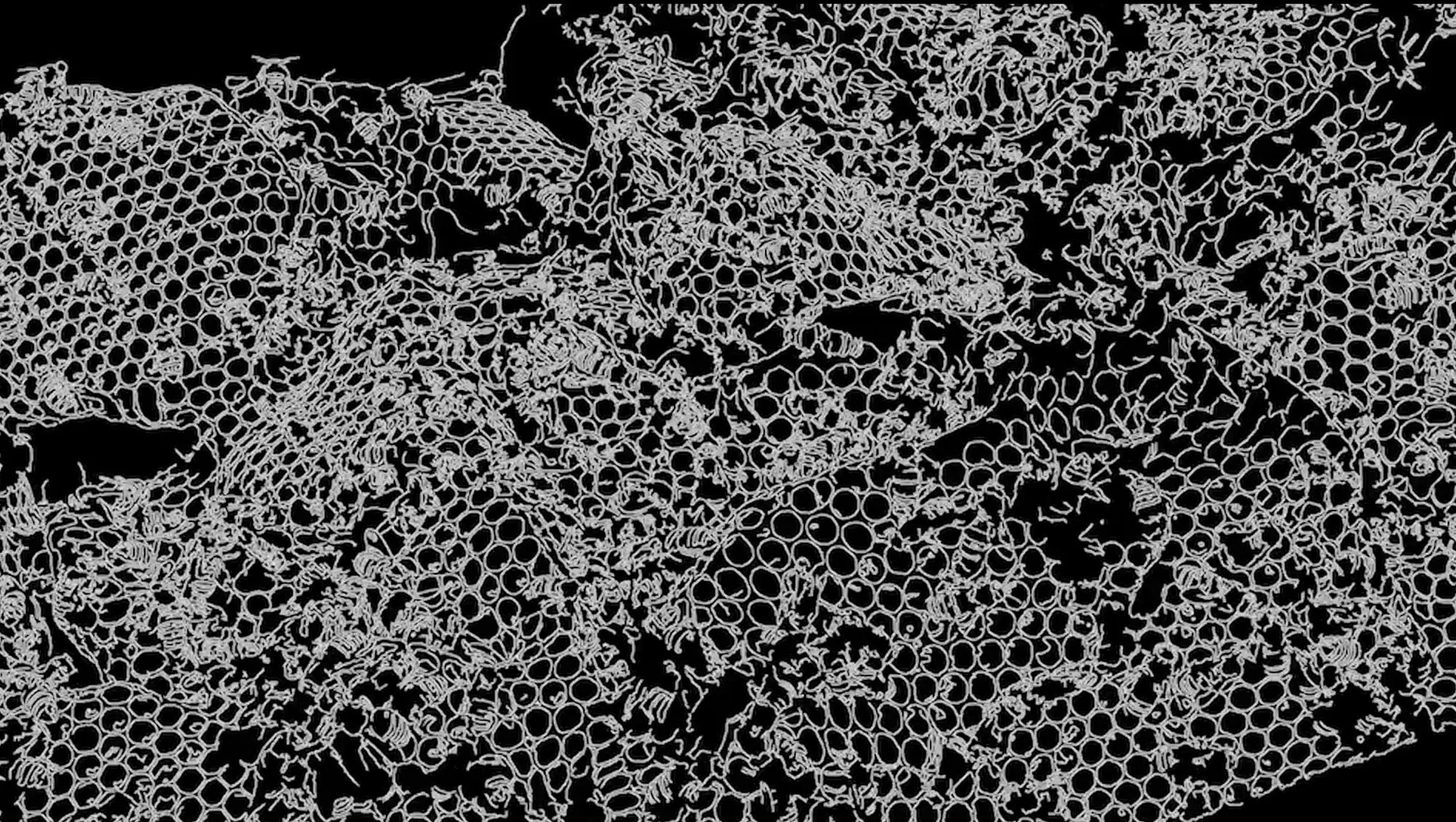 Edge-detection video still by Oreet Ashery