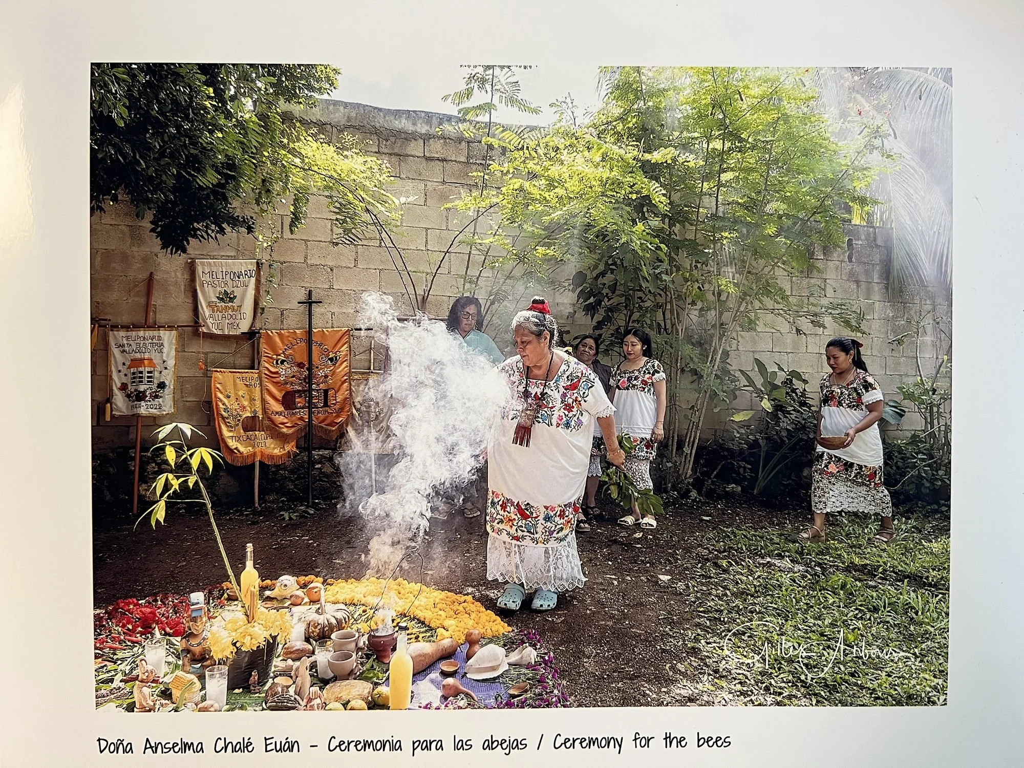 Doña Anselma Chalé Euán at a ceremony for the bees