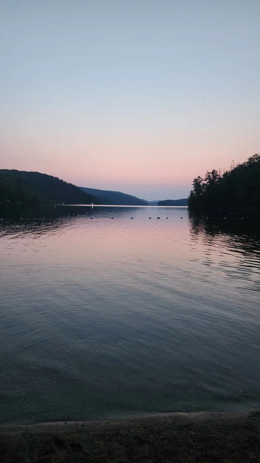 Still water at dusk