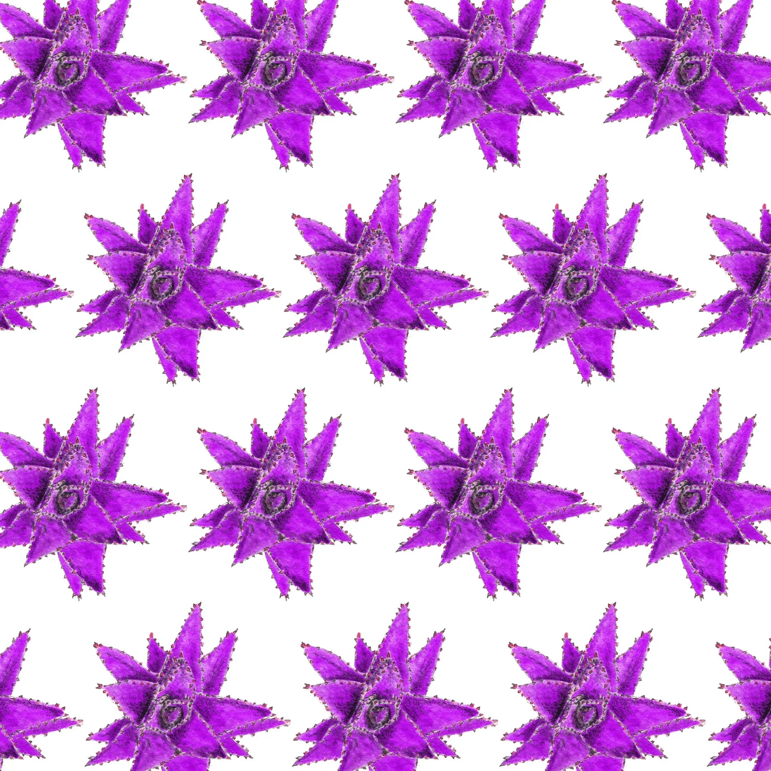 Succulent — Purple repeat pattern
