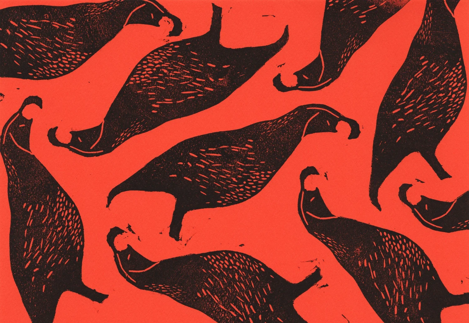 Greeting Cards — Quail — Greeting Cards — Quail