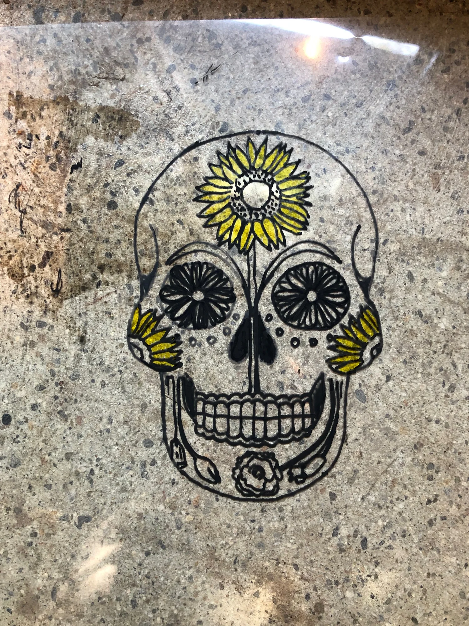 Decorated Skull — Related skull study on transparent sheet