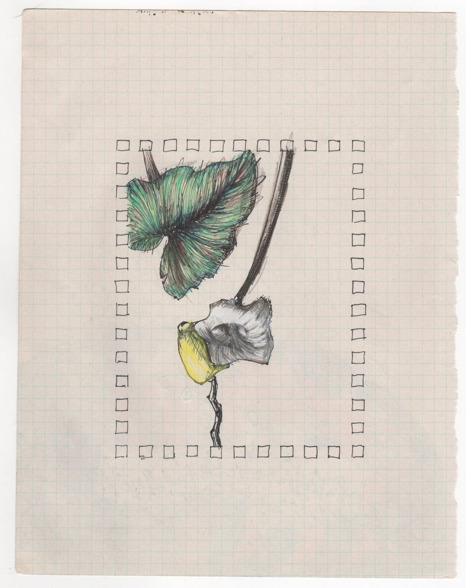 Plants — Sketchbook Study — Finished work