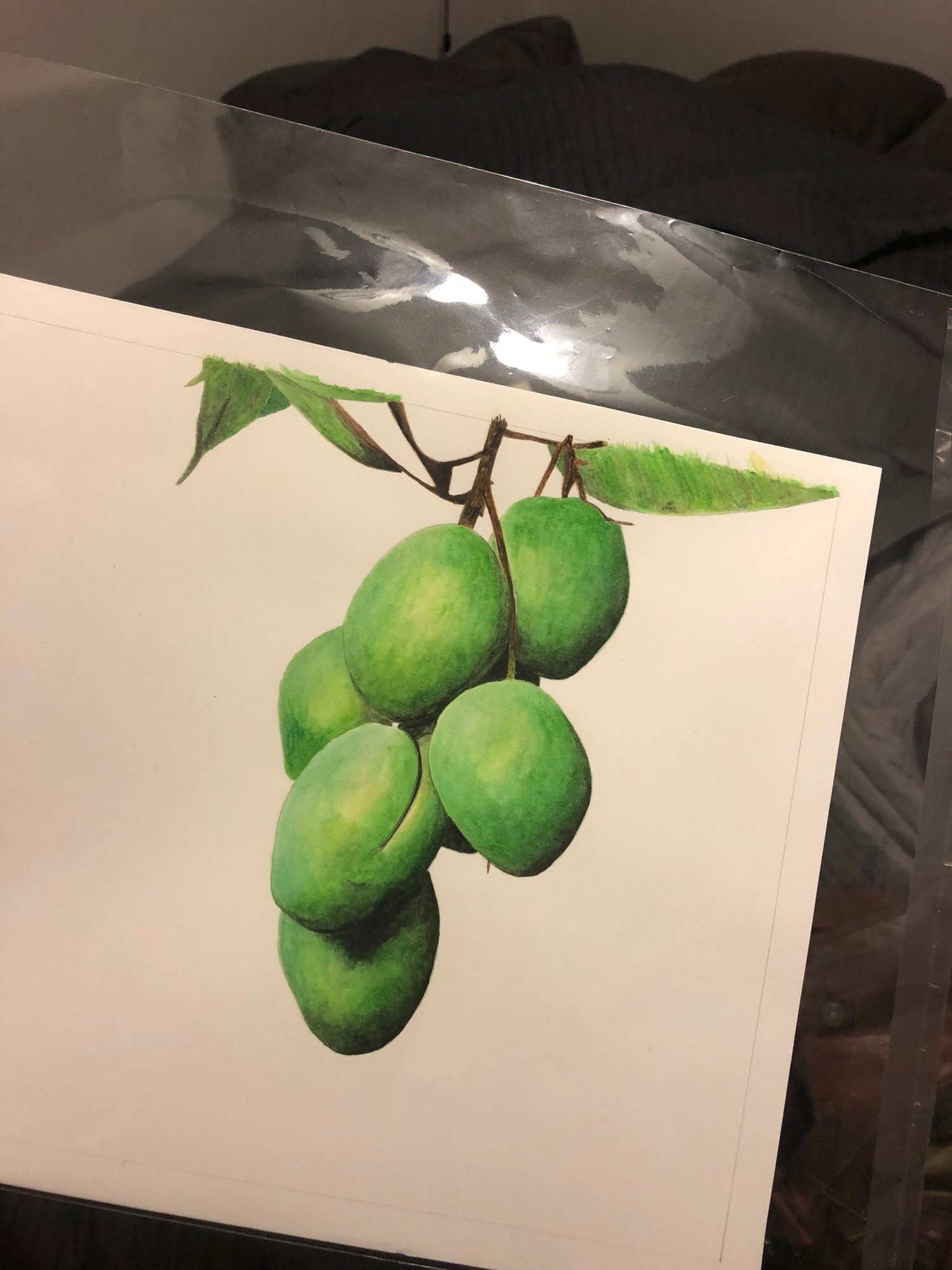 Mango — Branch — Process photograph · The Magical Mindful Day