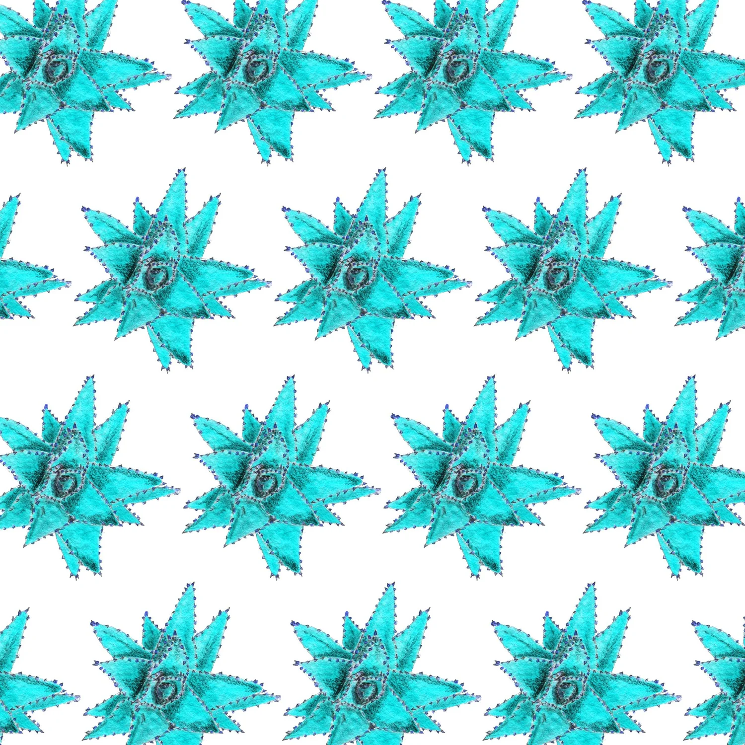 Succulent — Blue repeat pattern