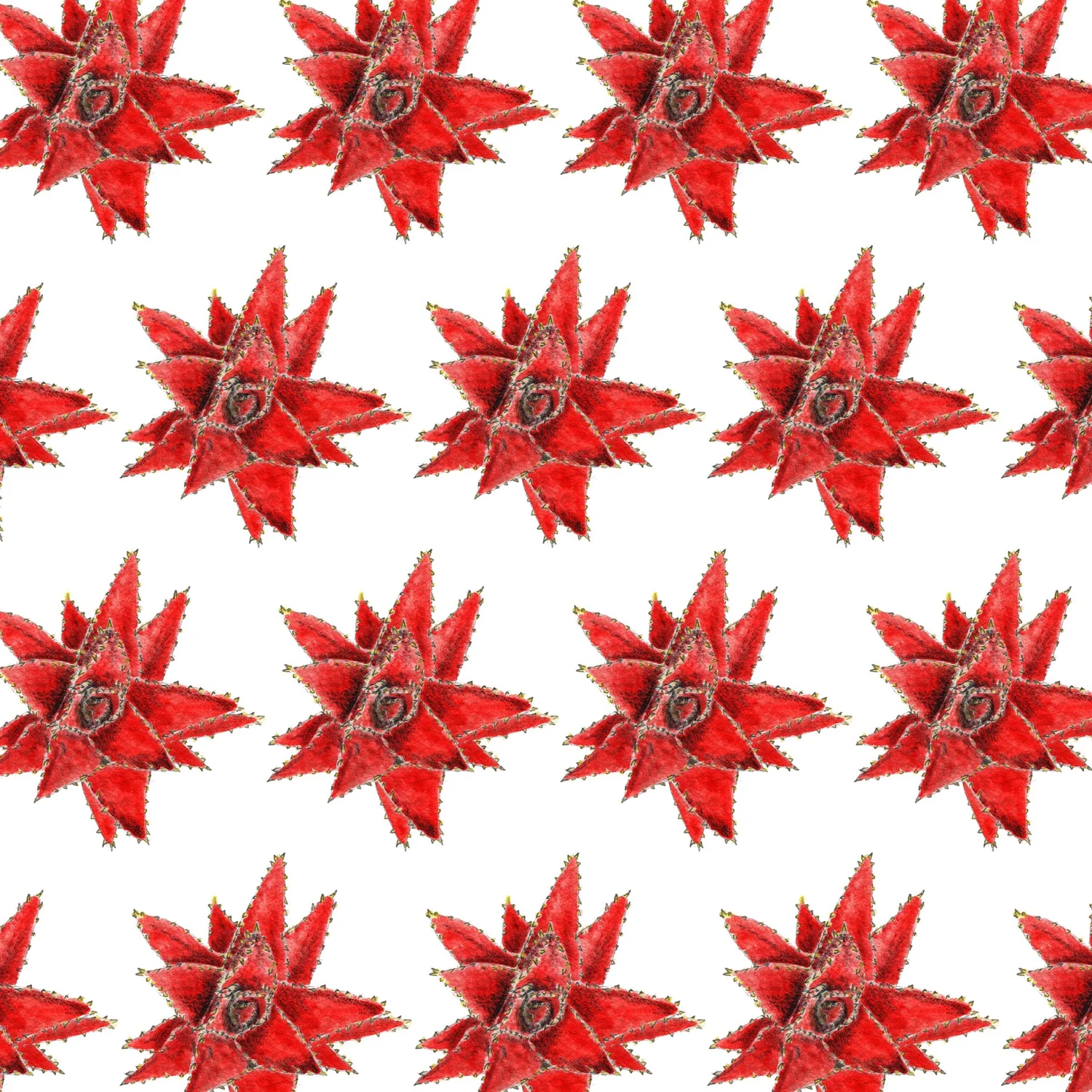 Succulent — Red repeat pattern