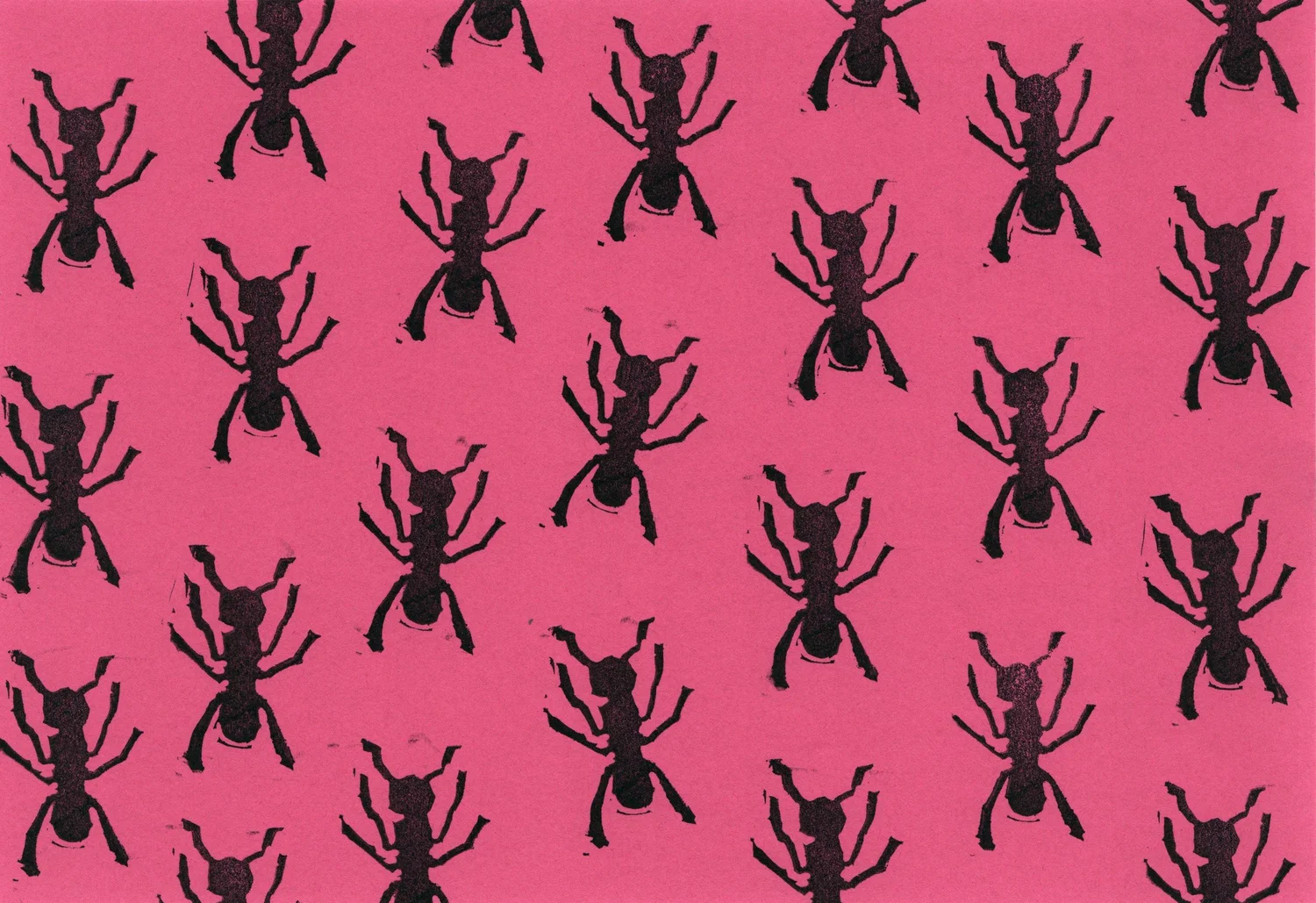 Greeting Cards — Ants — Greeting Cards — Ants