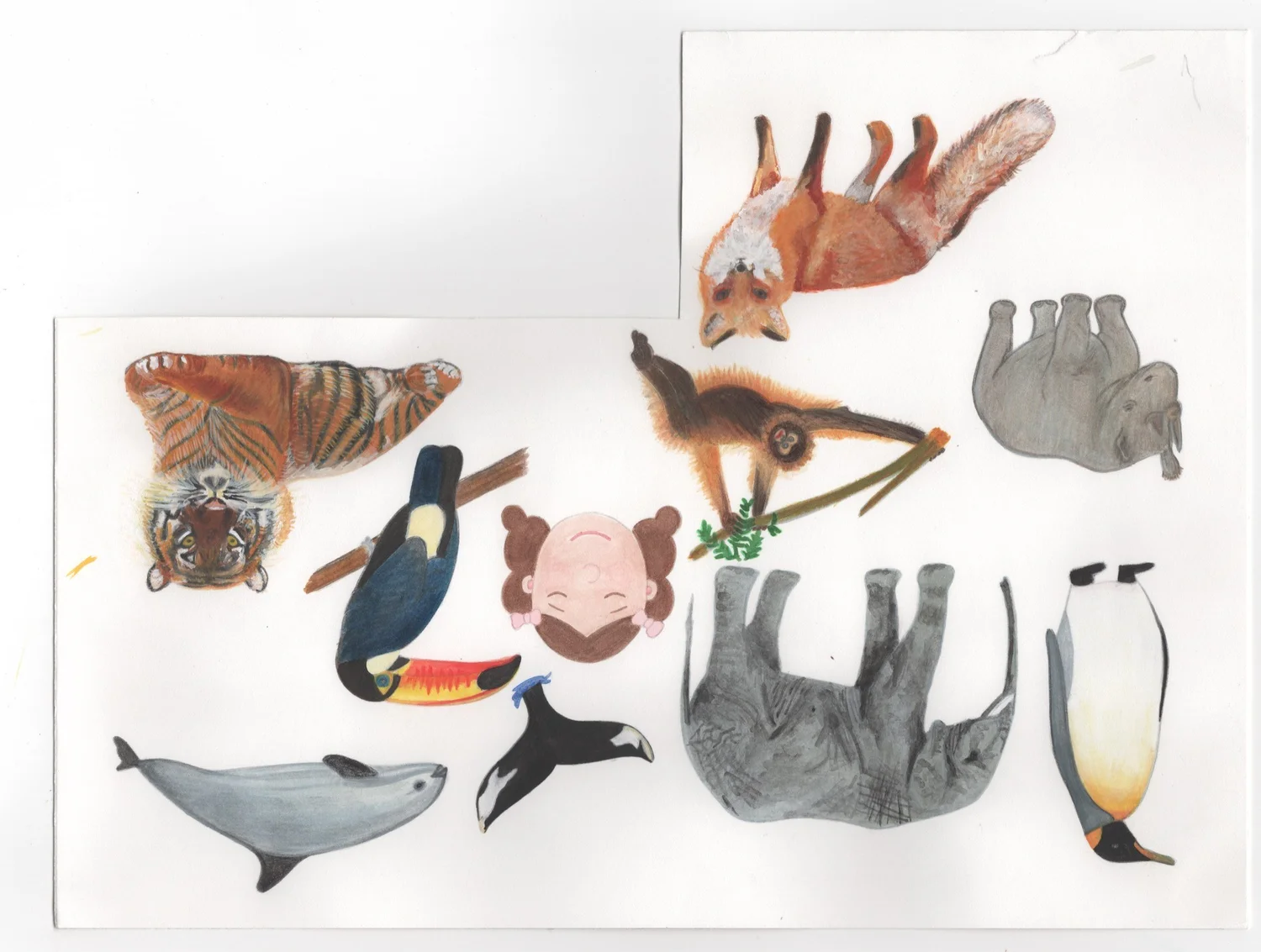 The Magical Mindful Day — Animals — Finished illustration · The Magical Mindful Day