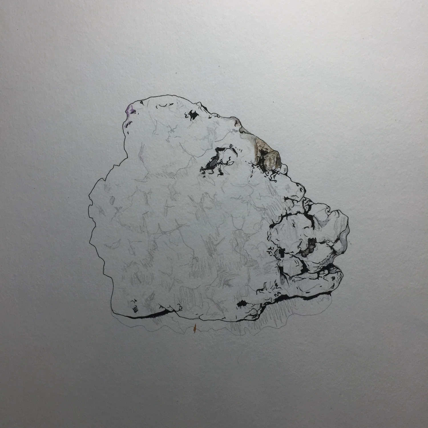 Keepsakes — Bronze Cast — Early drawing, 2016