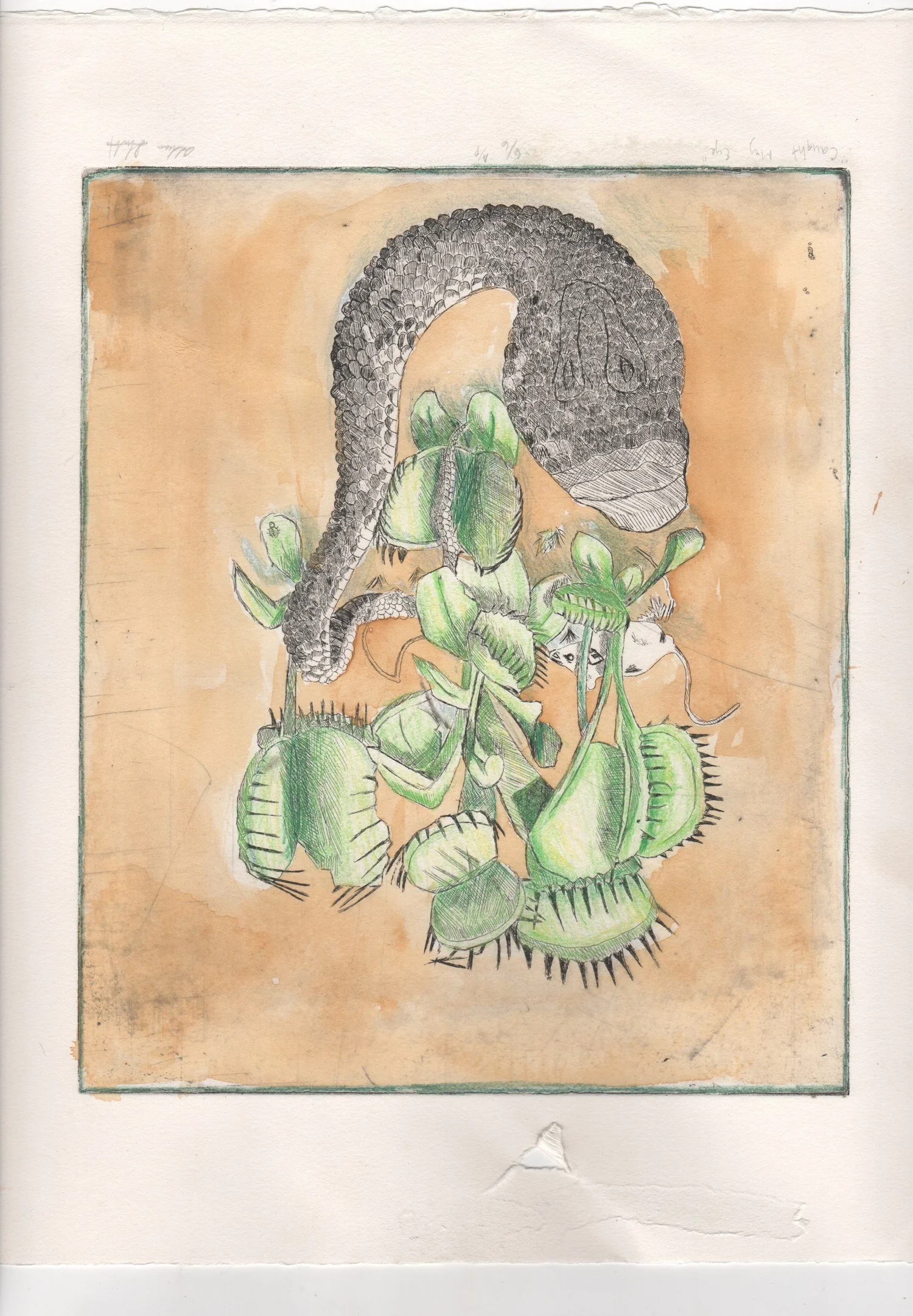 Snake — Print — Finished work