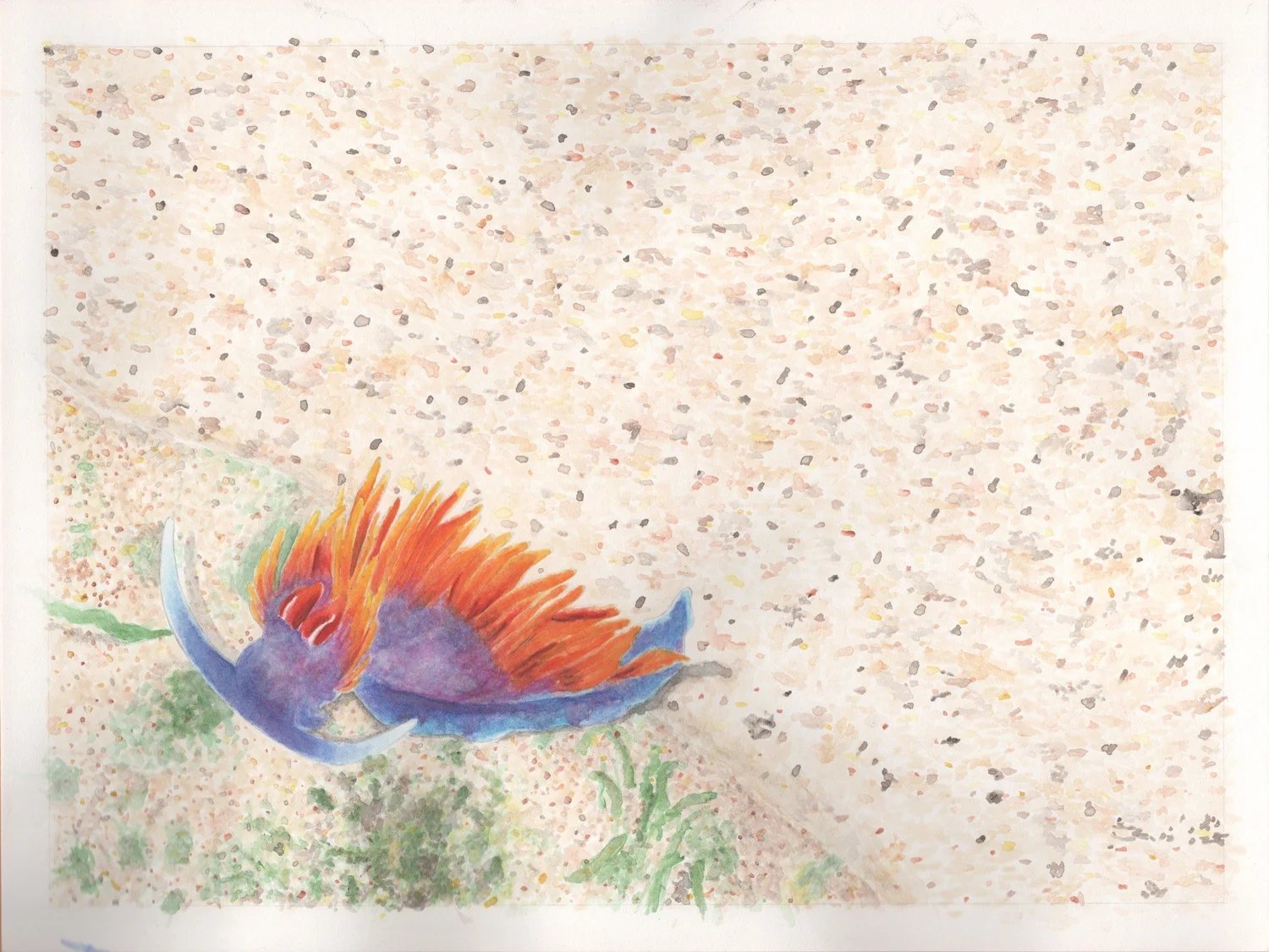 The Magical Mindful Day — Spanish Shawl — Finished illustration · The Magical Mindful Day