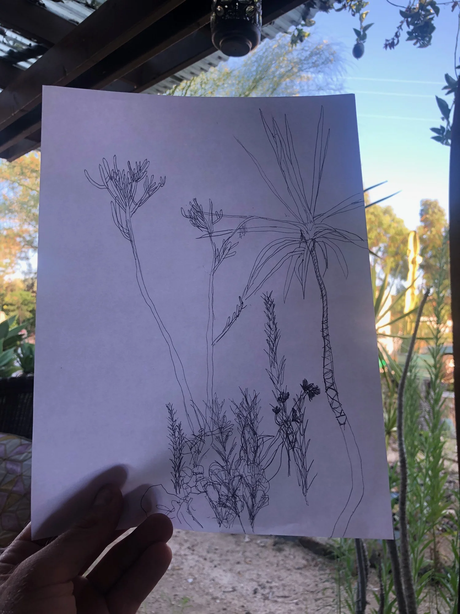 Pencil sketch at beach — Artwork view