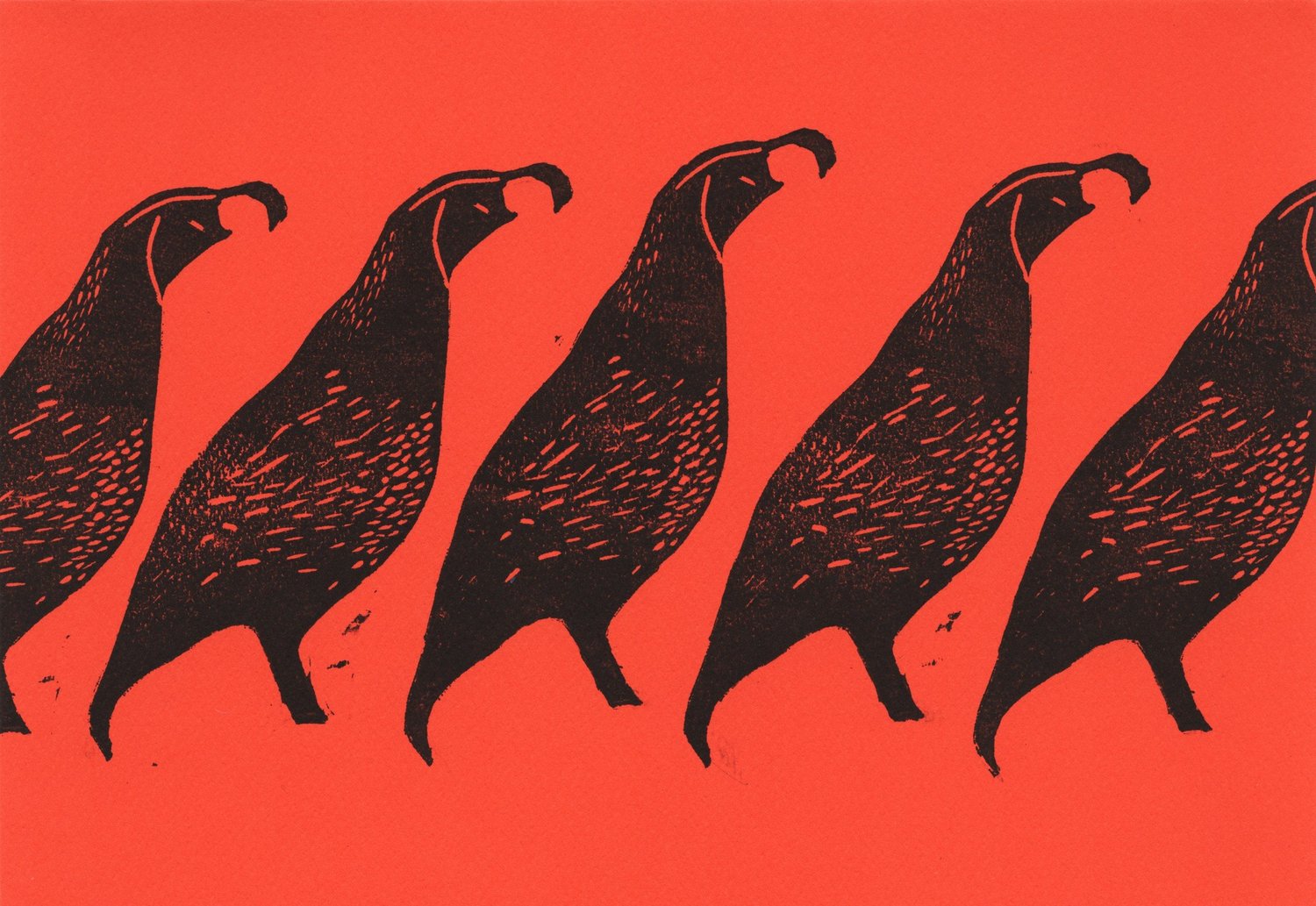 Greeting Cards — Quail — Greeting Cards — Quail