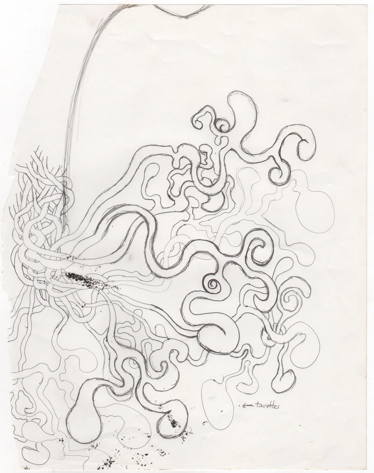 Line Drawing — Finished work