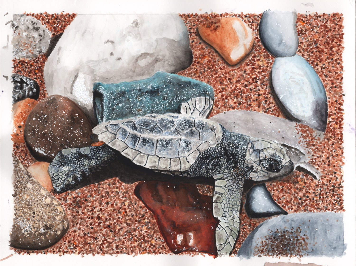 The Magical Mindful Day — Sea Turtle — Finished illustration · The Magical Mindful Day