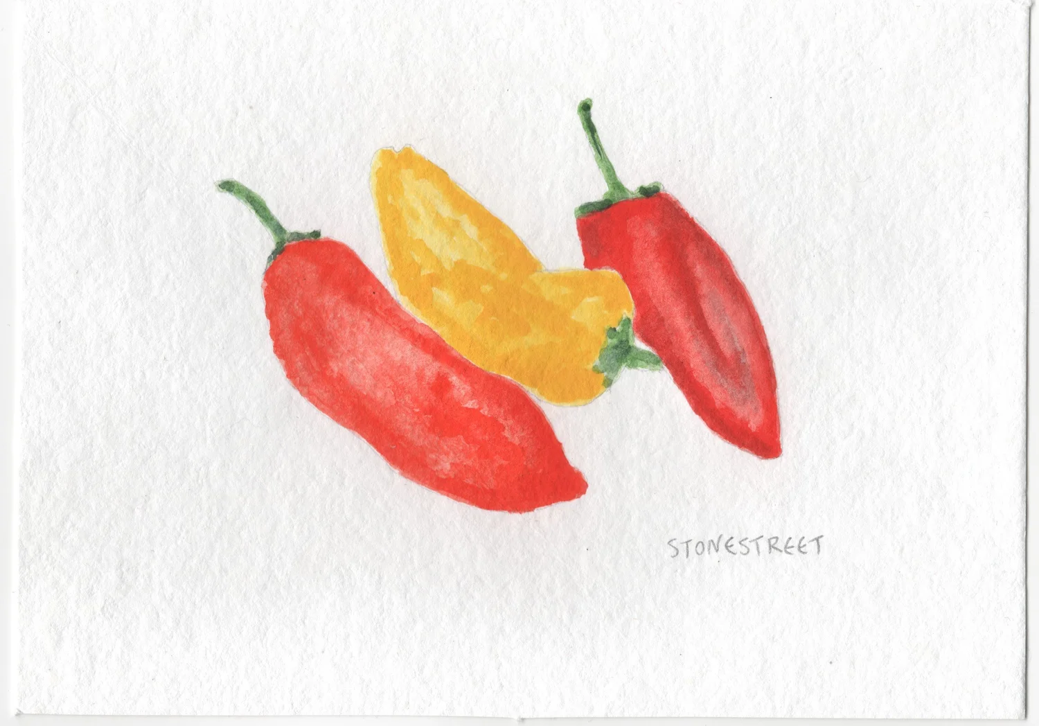 Everyday Objects — Peppers — Finished work