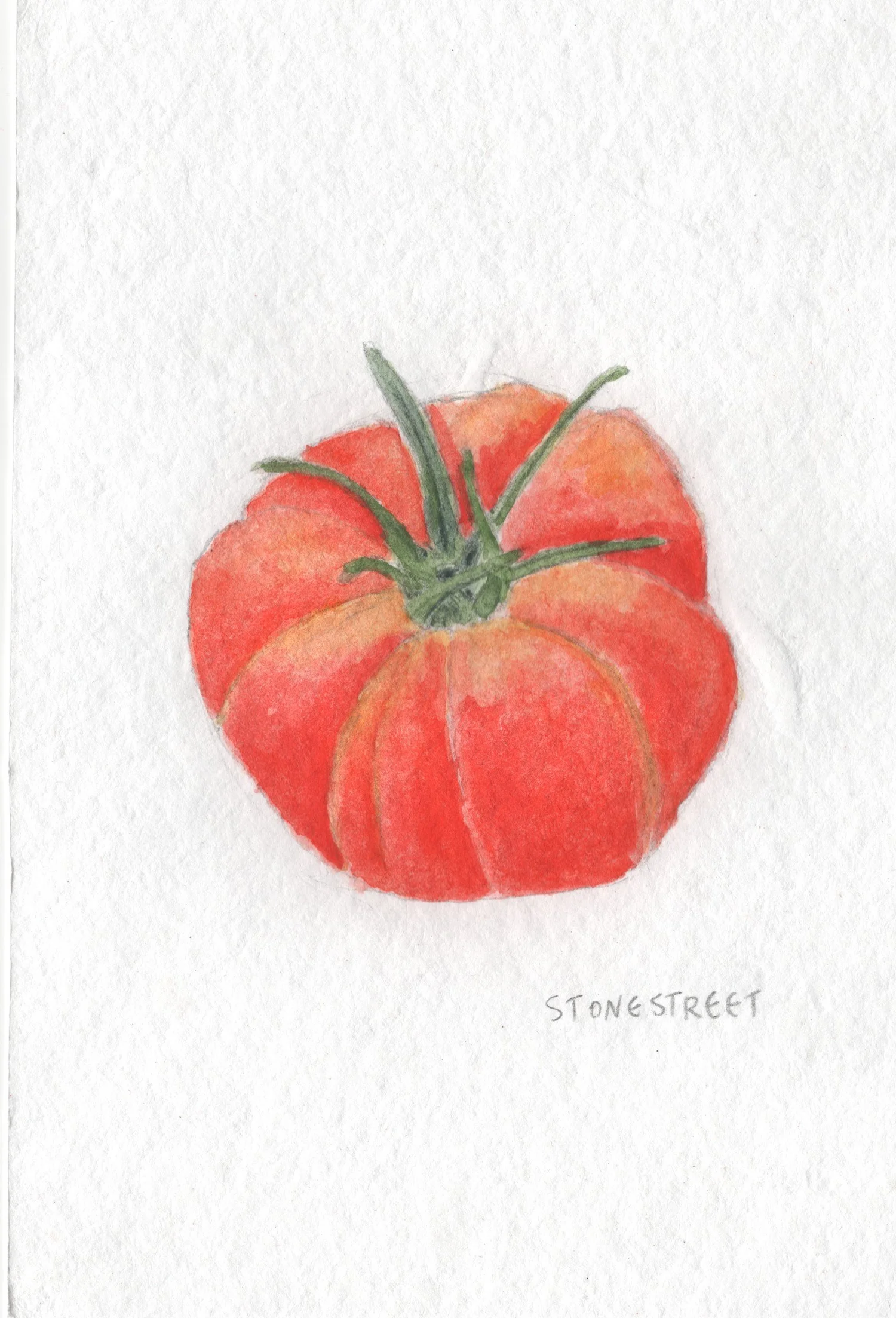 Everyday Objects — Tomato — Finished work