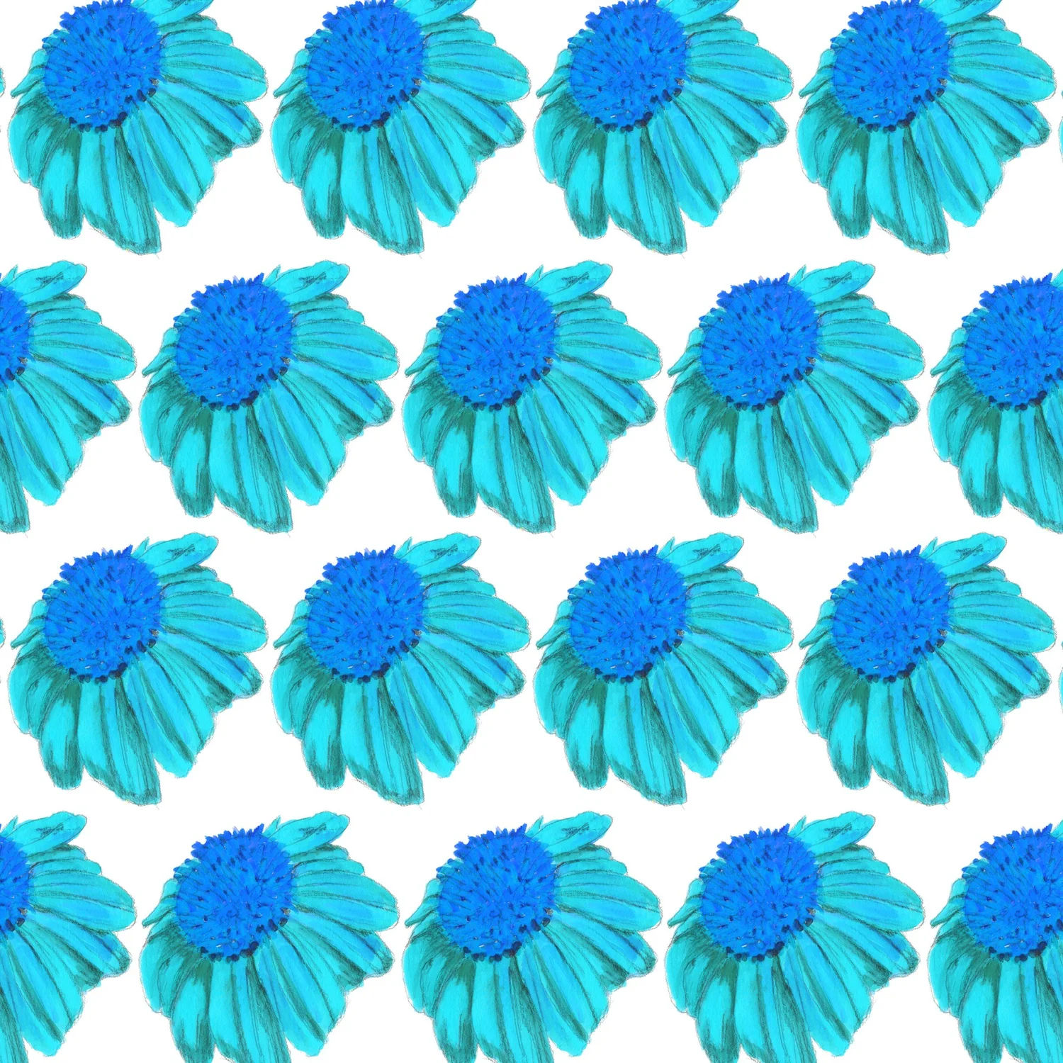 Coneflower Echinacea — Blue repeat pattern