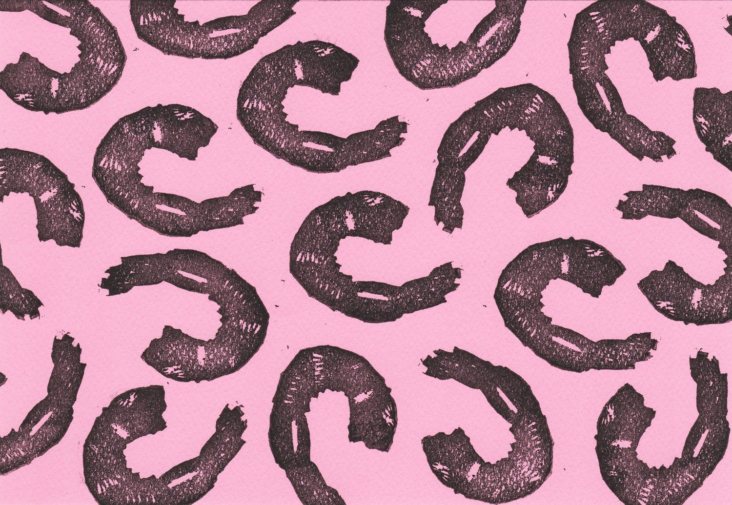 Greeting Cards — Shrimp — Greeting Cards — Shrimp