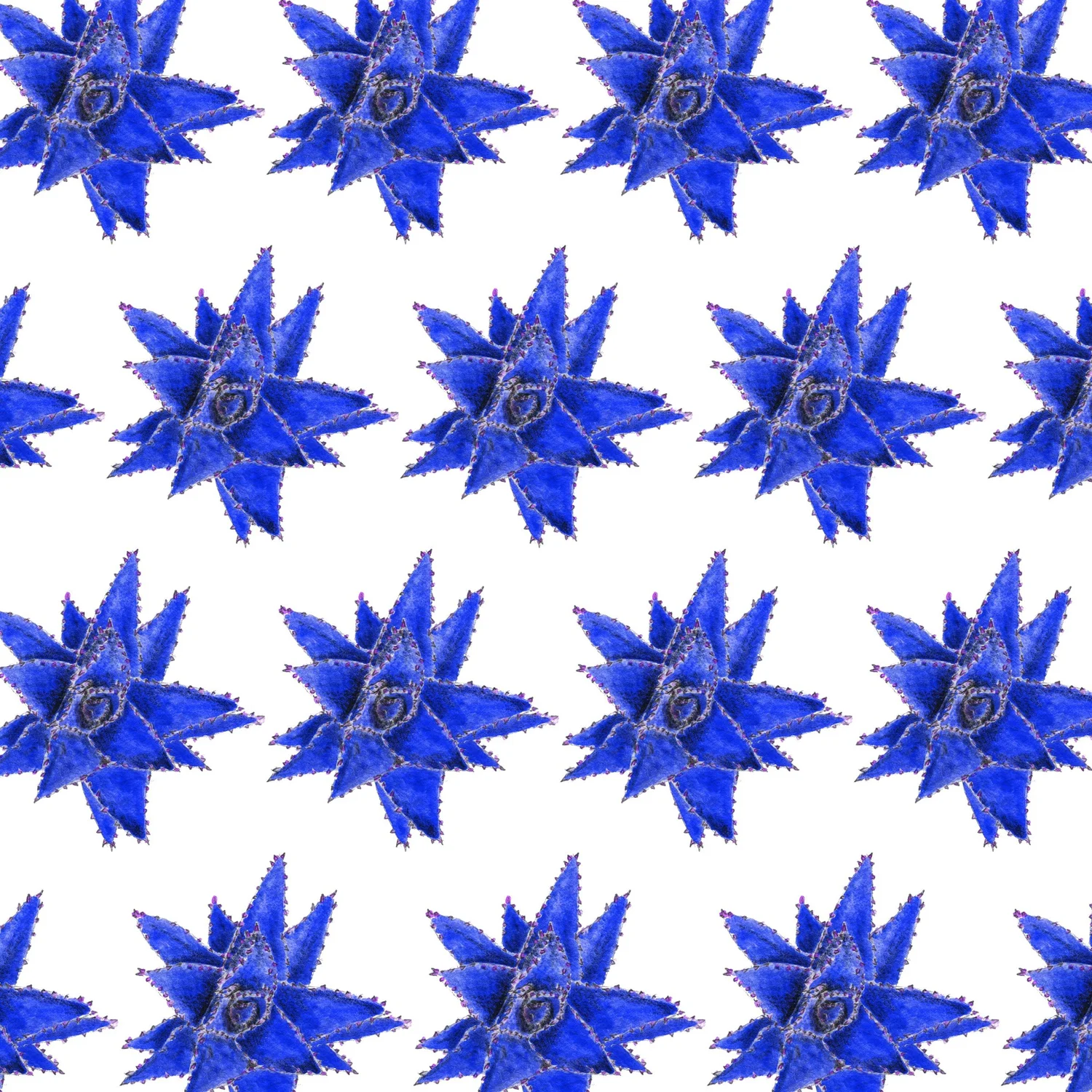 Succulent — Deep-blue repeat pattern