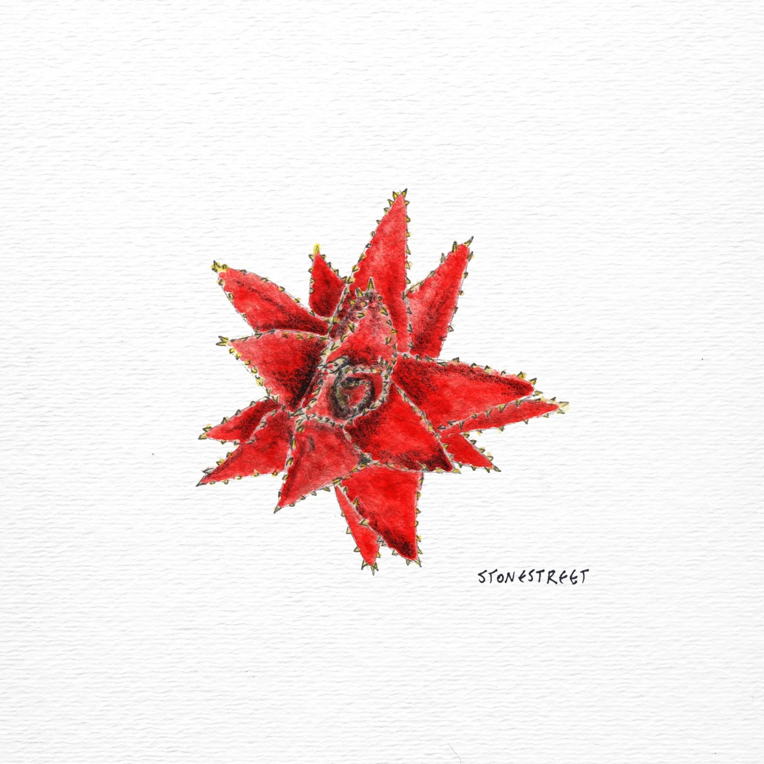 Succulent — Finished work
