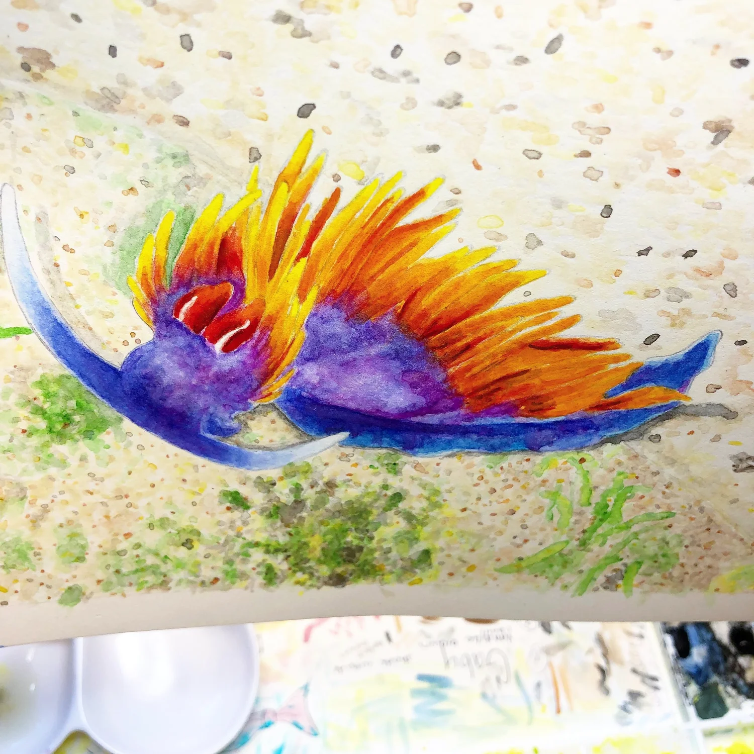 The Magical Mindful Day — Spanish Shawl — Studio photograph — February 17, 2018 · The Magical Mindful Day