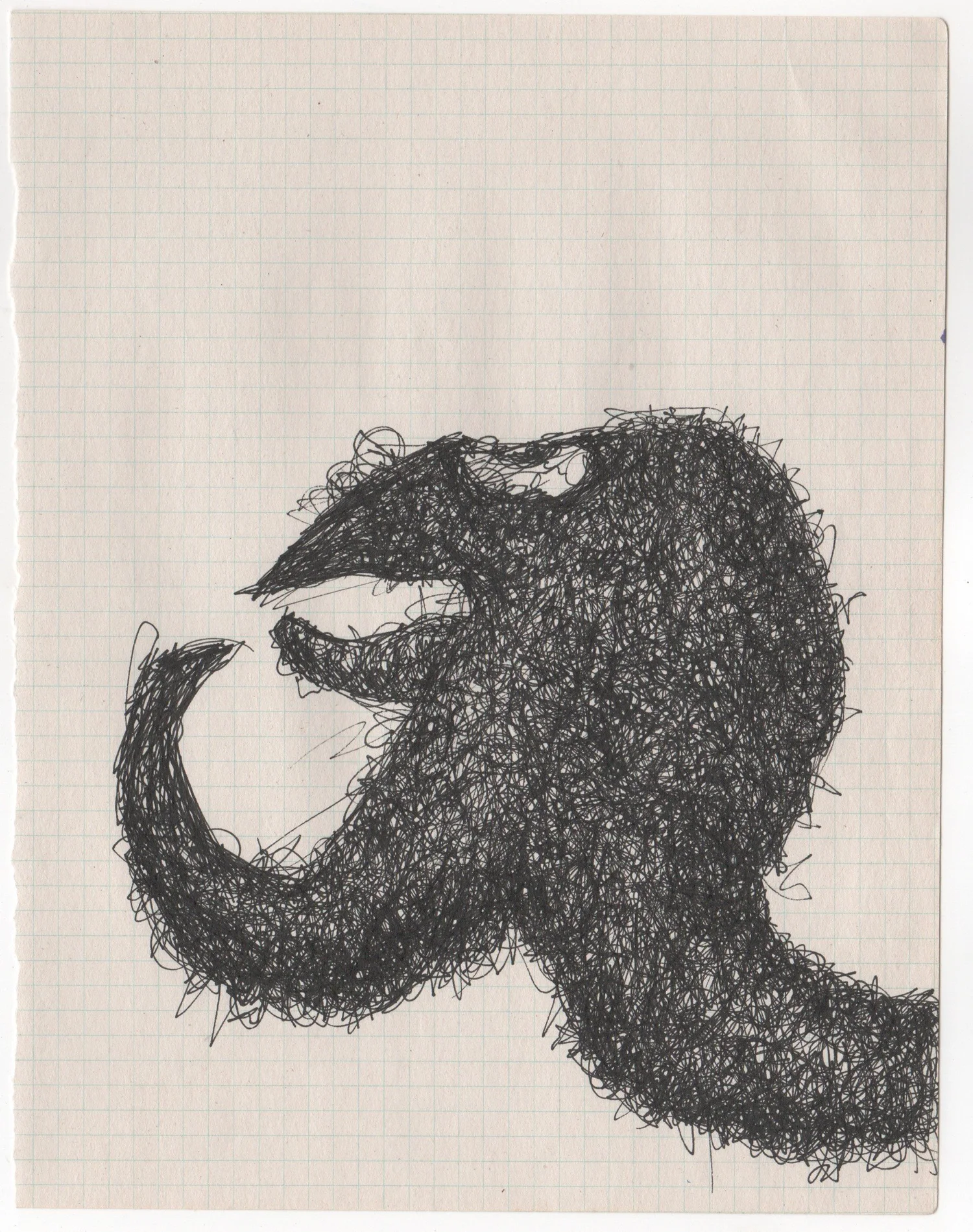 Cat Study — Sketchbook study