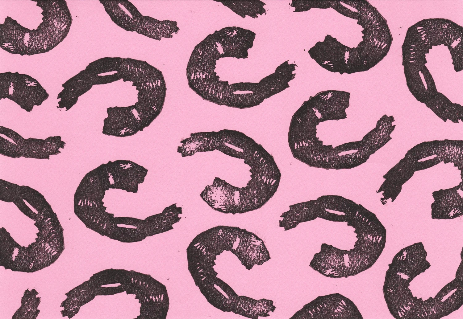Greeting Cards — Shrimp — Greeting Cards — Shrimp