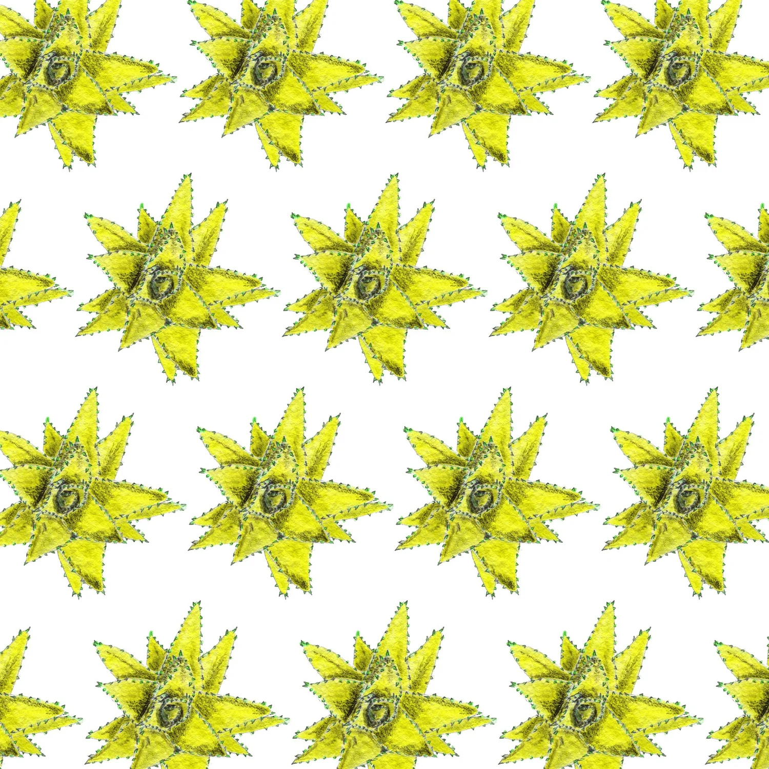 Succulent — Yellow repeat pattern