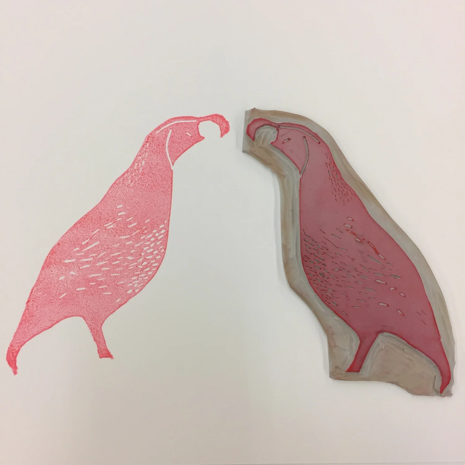 Californian Quail — Color variation and carved block