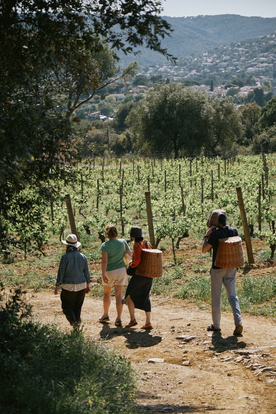 Clos d'Agon winery