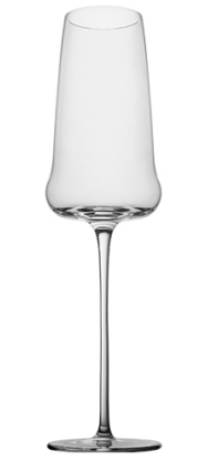 Persephaure Champagne Tulip — PECH6