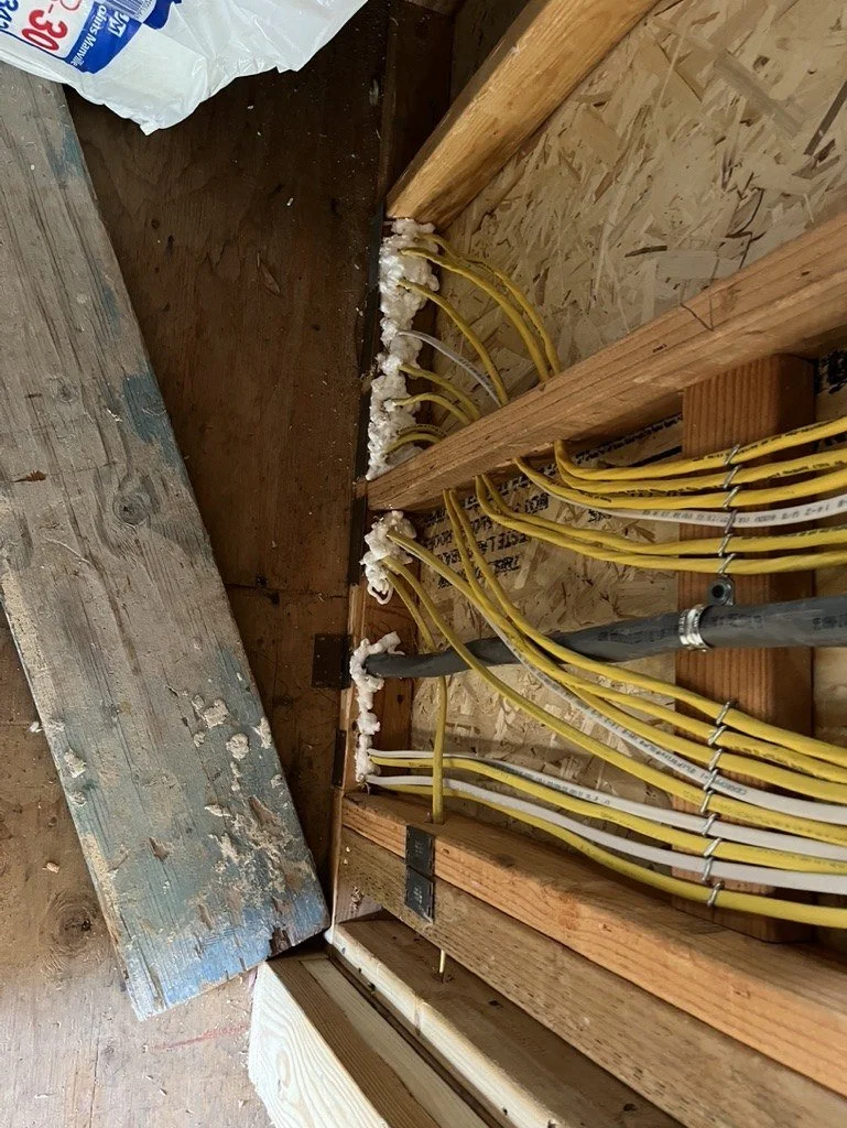 Wire bundle foamed where it passes the plate
