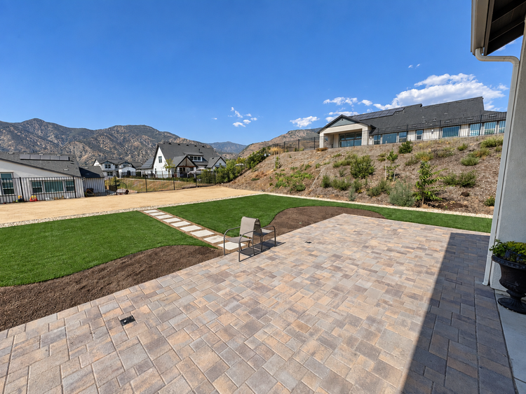Paver patio with turf and planting