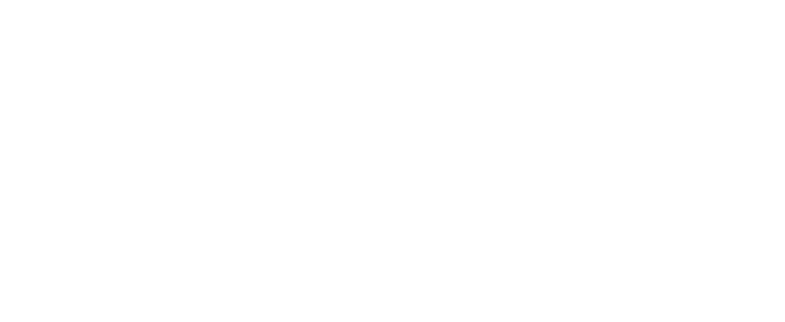 Kleiko Vision