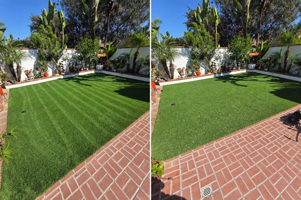Backyard turf groomed and striped after a pet odor treatment
