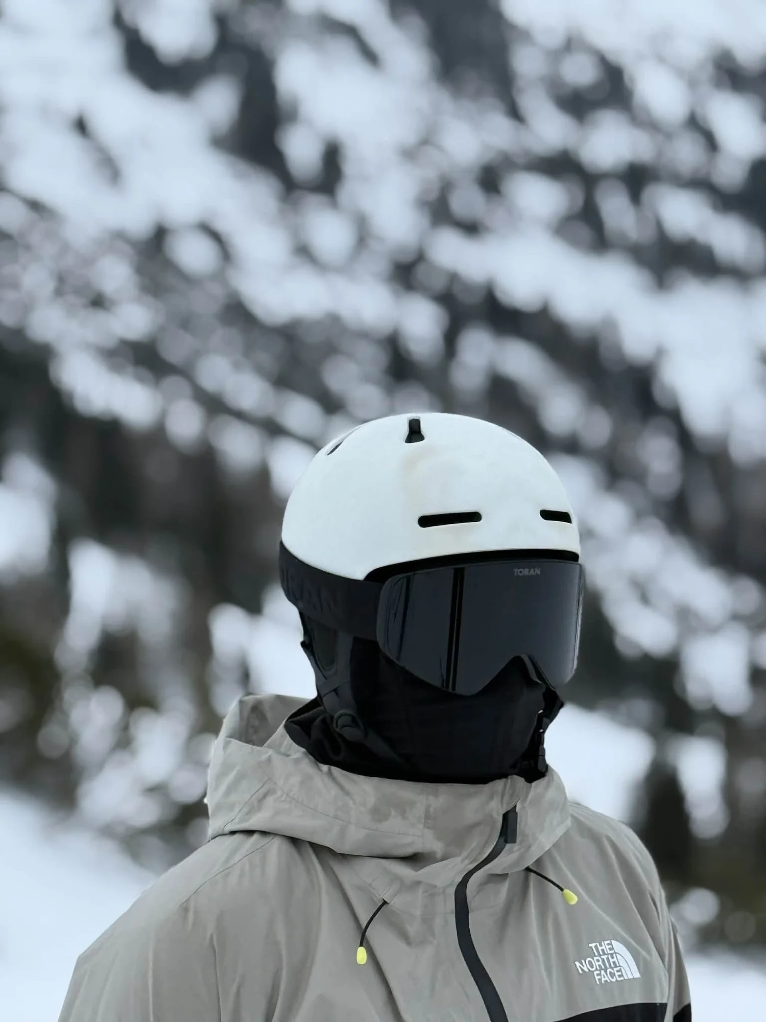 Skiløber med hvid hjelm og mørk TORAN skibrille foran snedækket skov