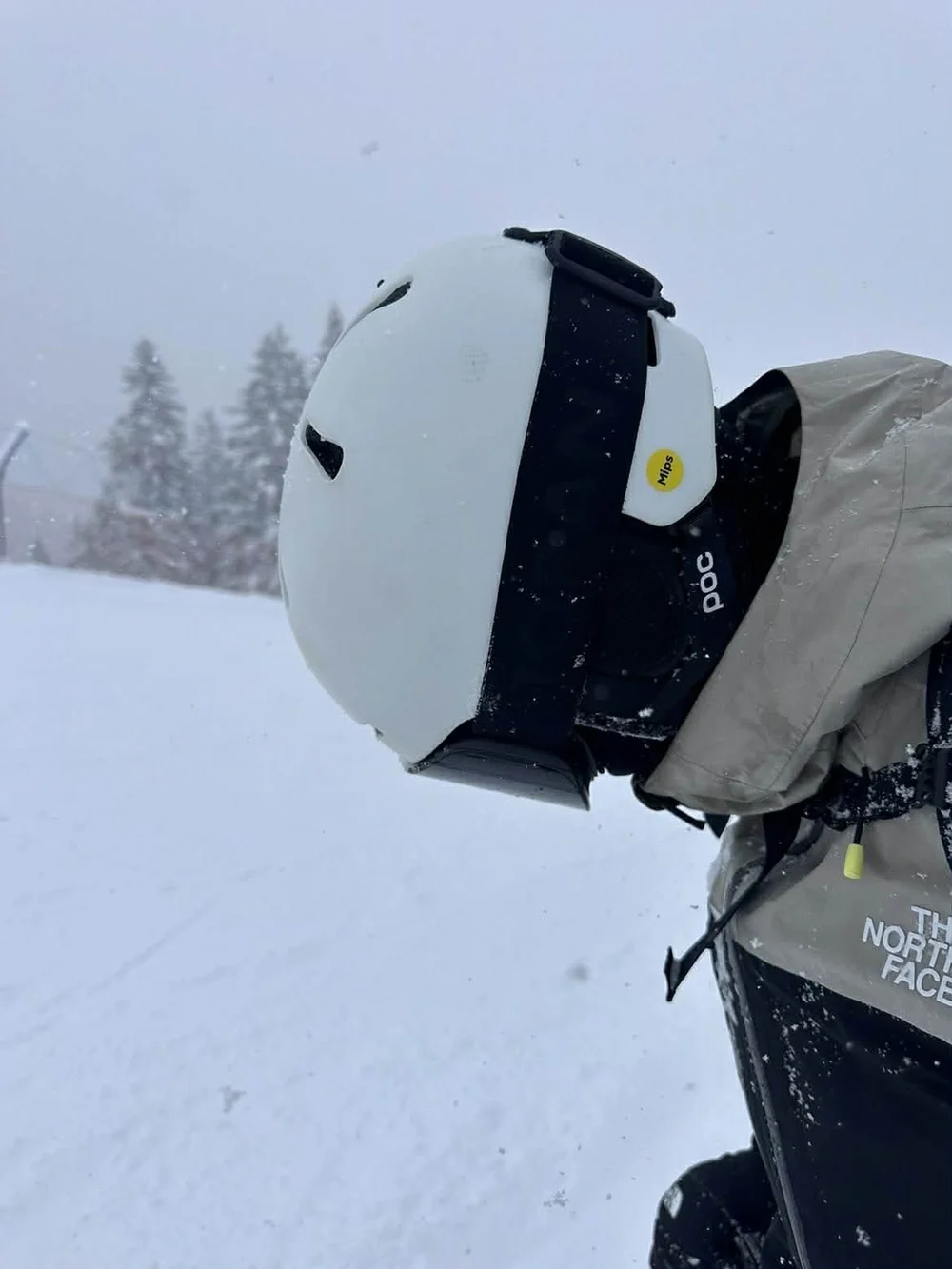 Profil af skiløber med hvid hjelm og TORAN skibrille ved snedækkede træer