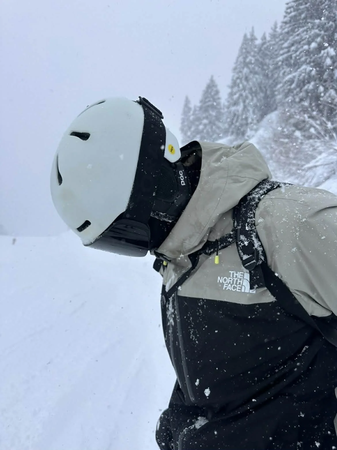 Profil af skiløber med hvid hjelm og TORAN skibrille i snevejr