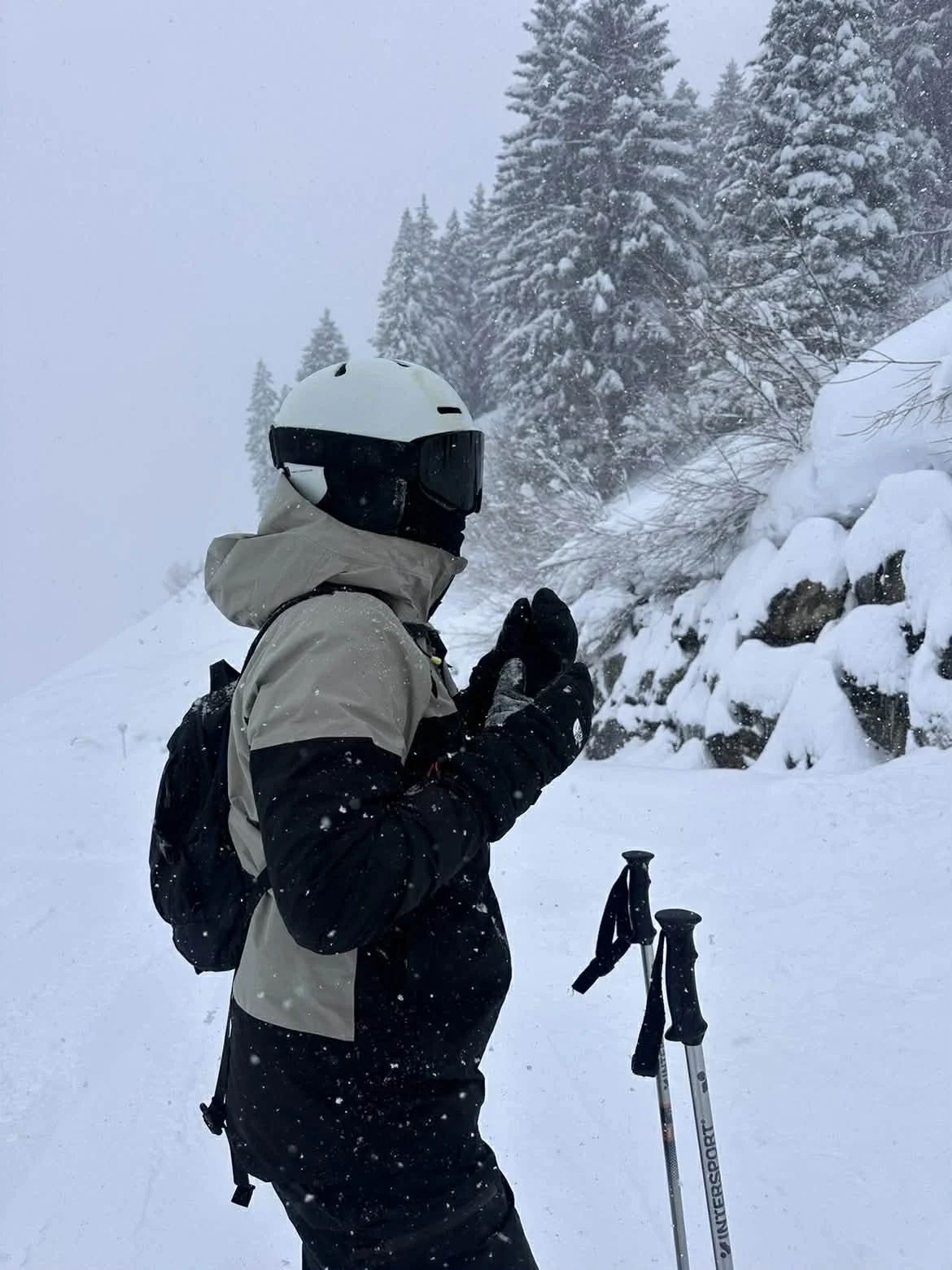 Skiløber i sort skijakke og TORAN skibrille mellem snedækkede træer