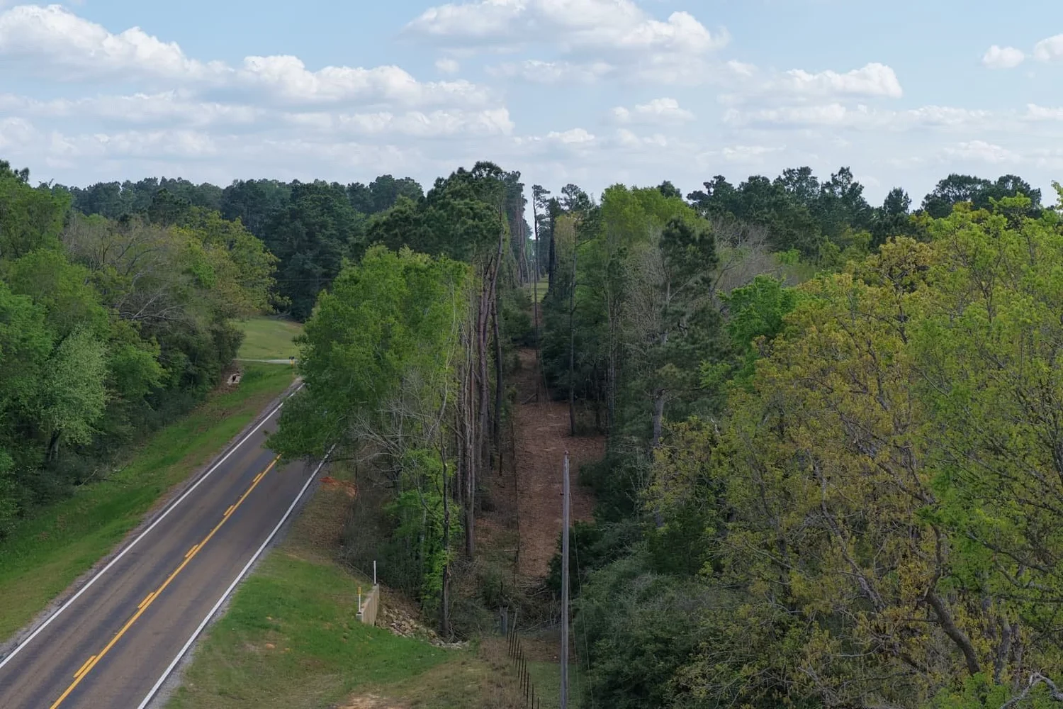 Aerial view of a tree-lined utility corridor beside a road