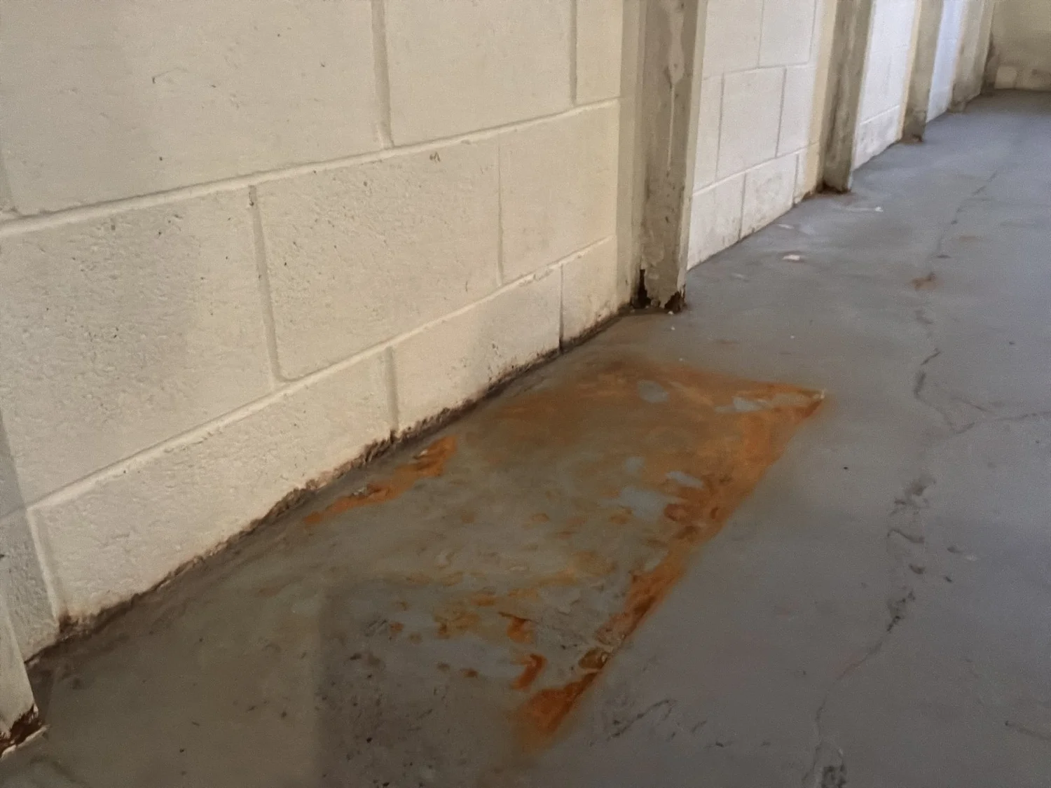 Dampness at the cove with rust residue from storage shelving