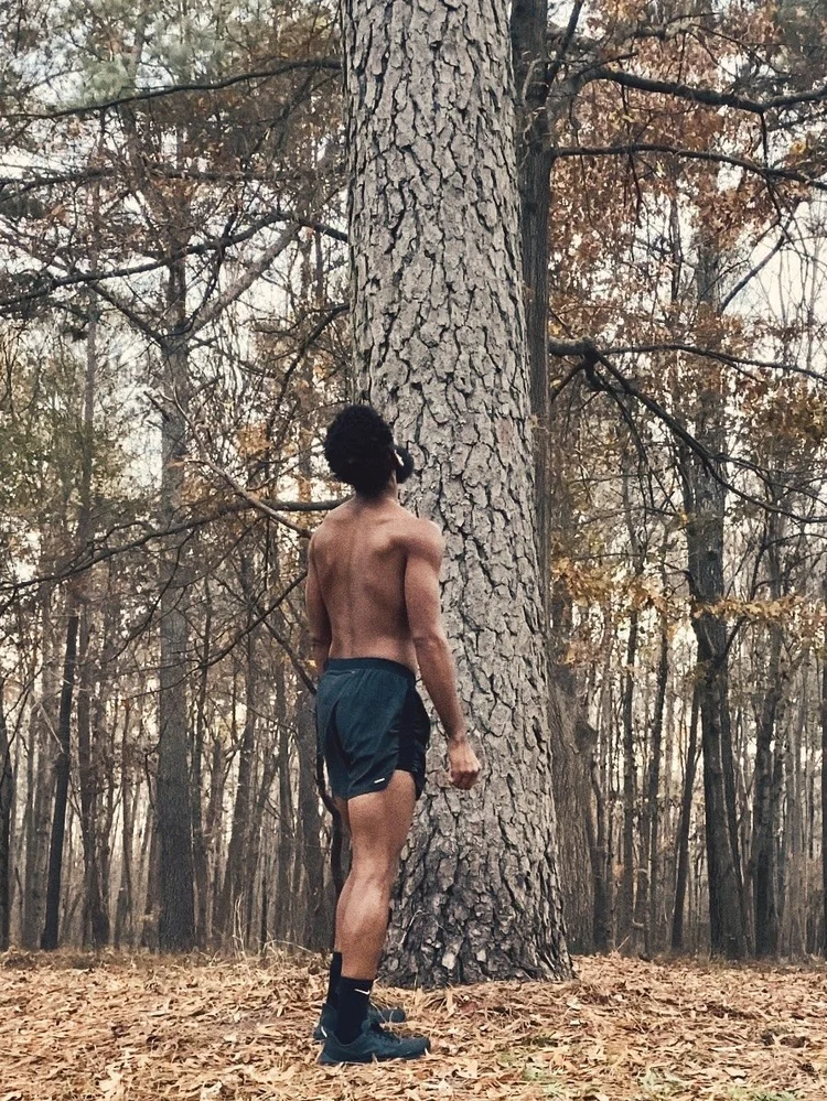 Facing the trees